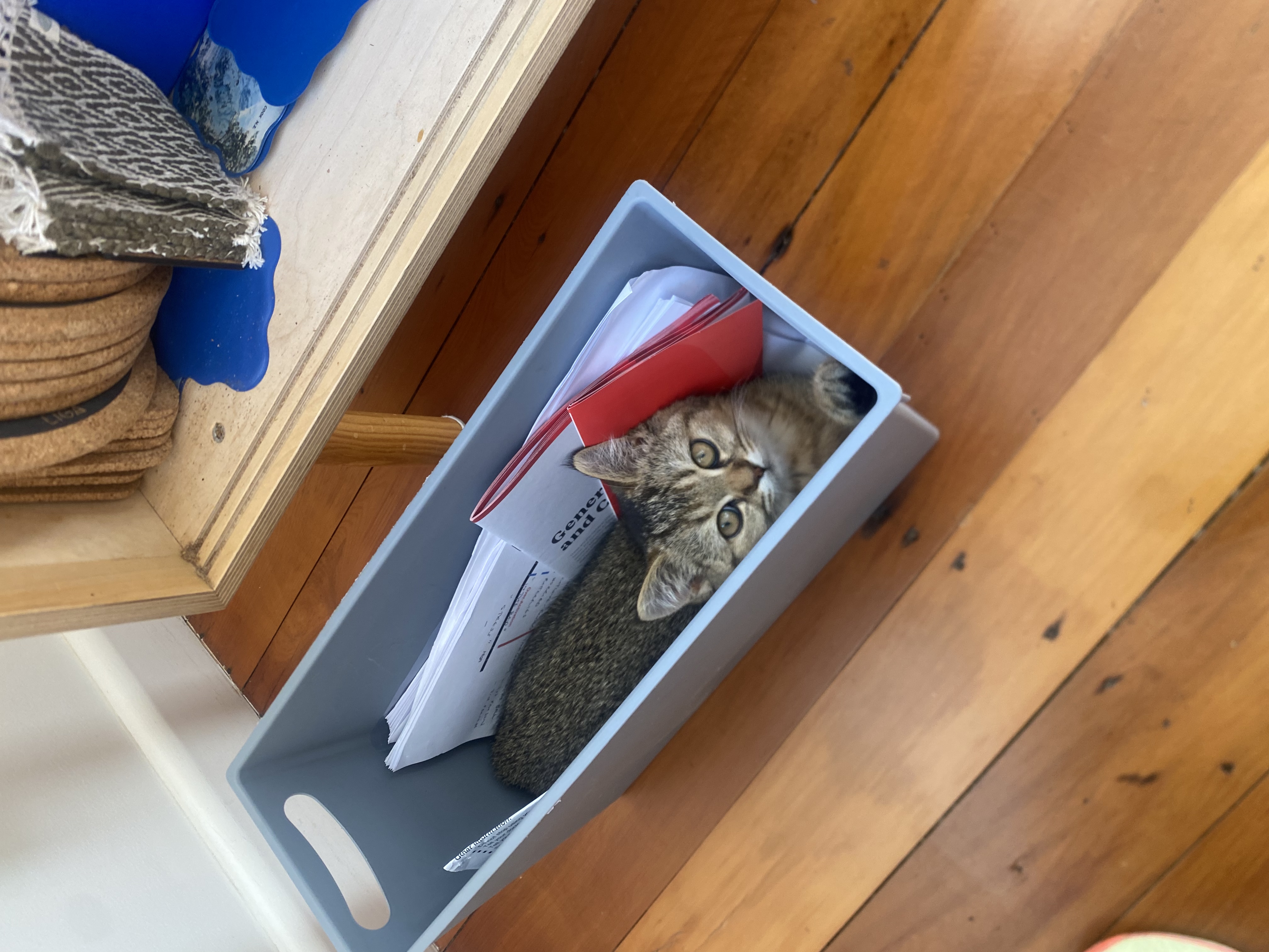 image-12