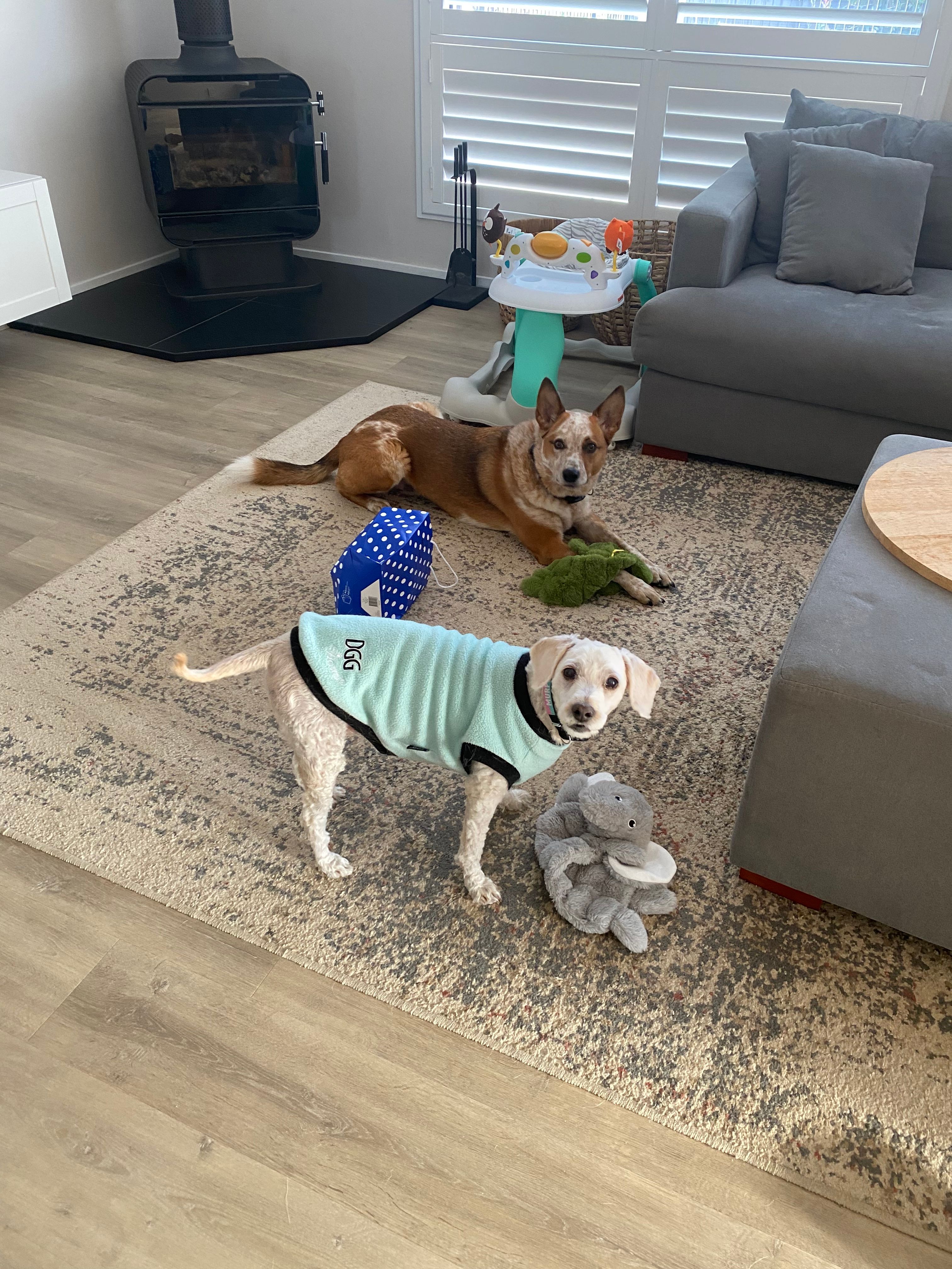 image-12