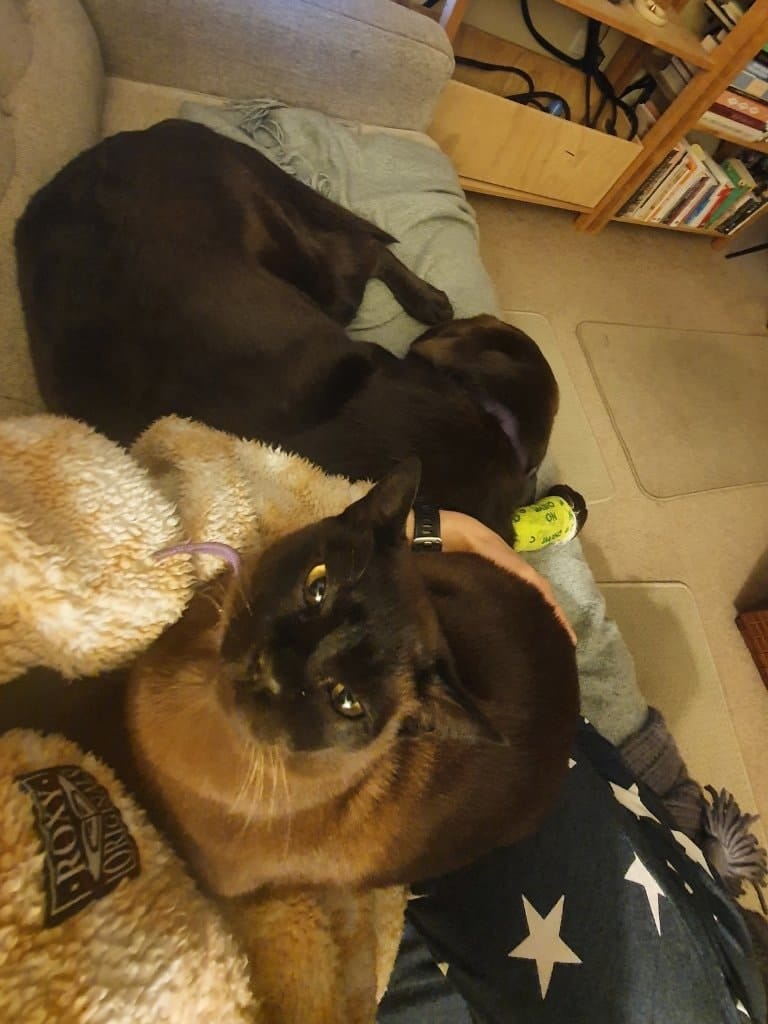 image-6