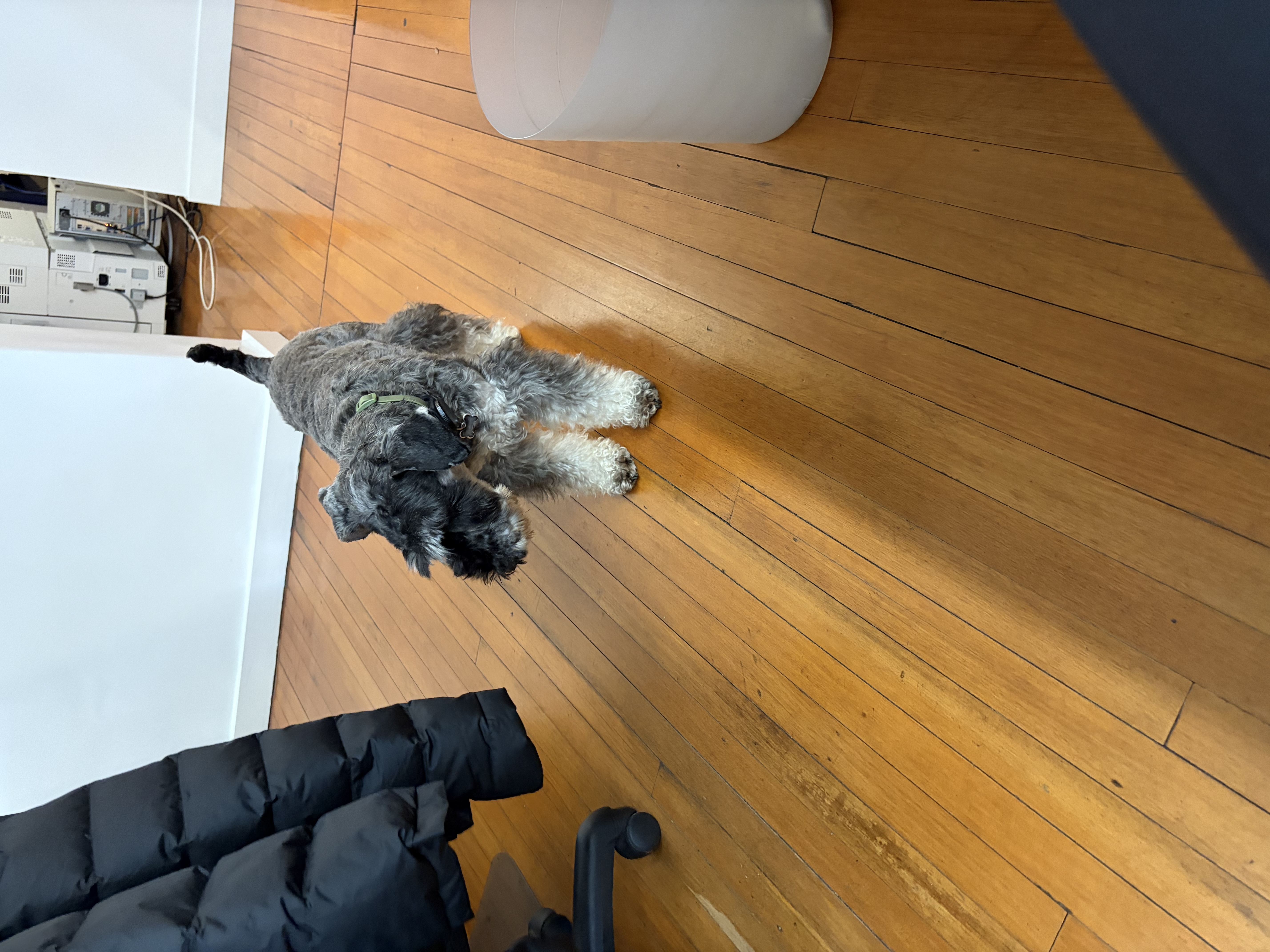 image-3
