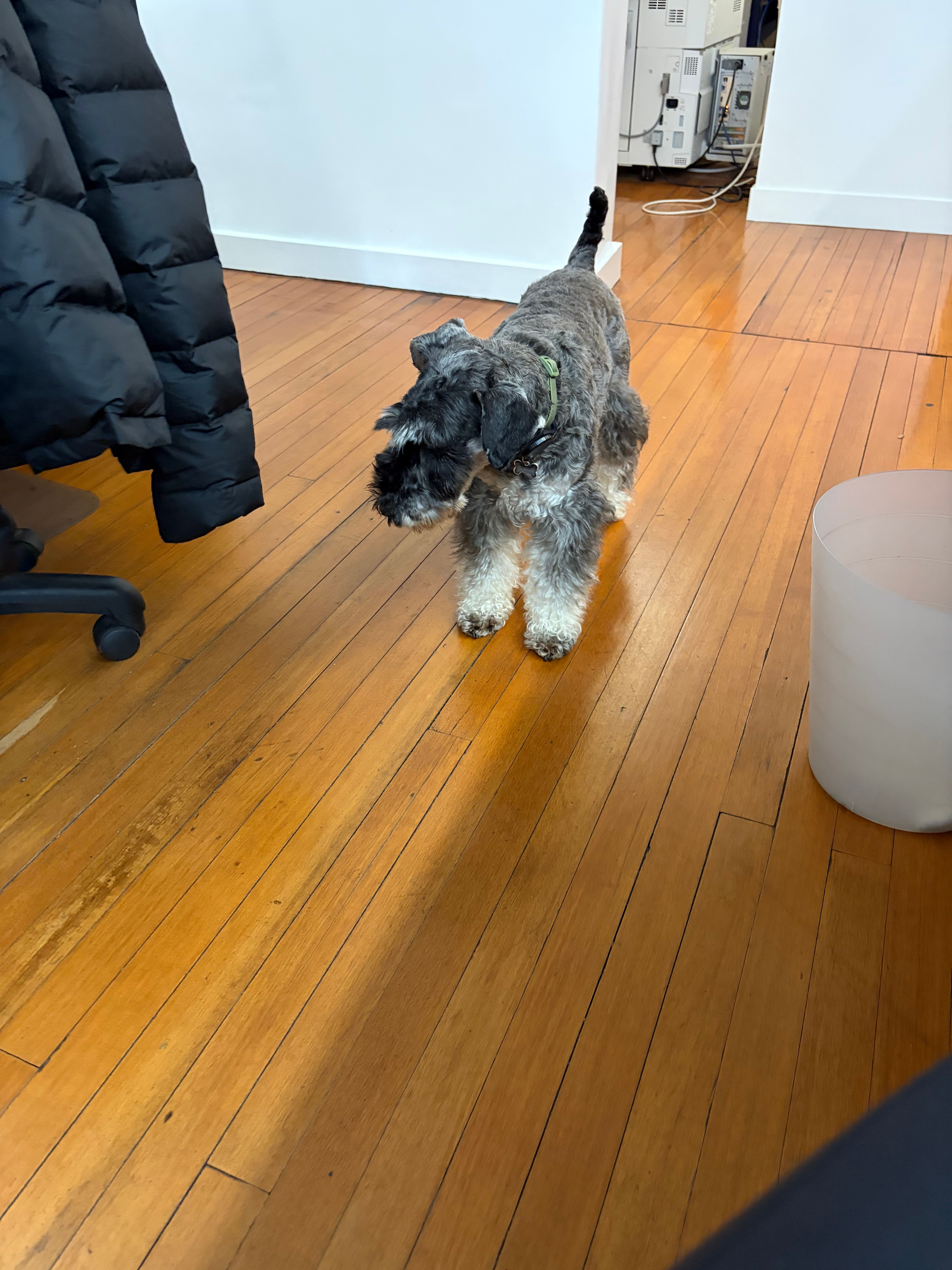 image-3