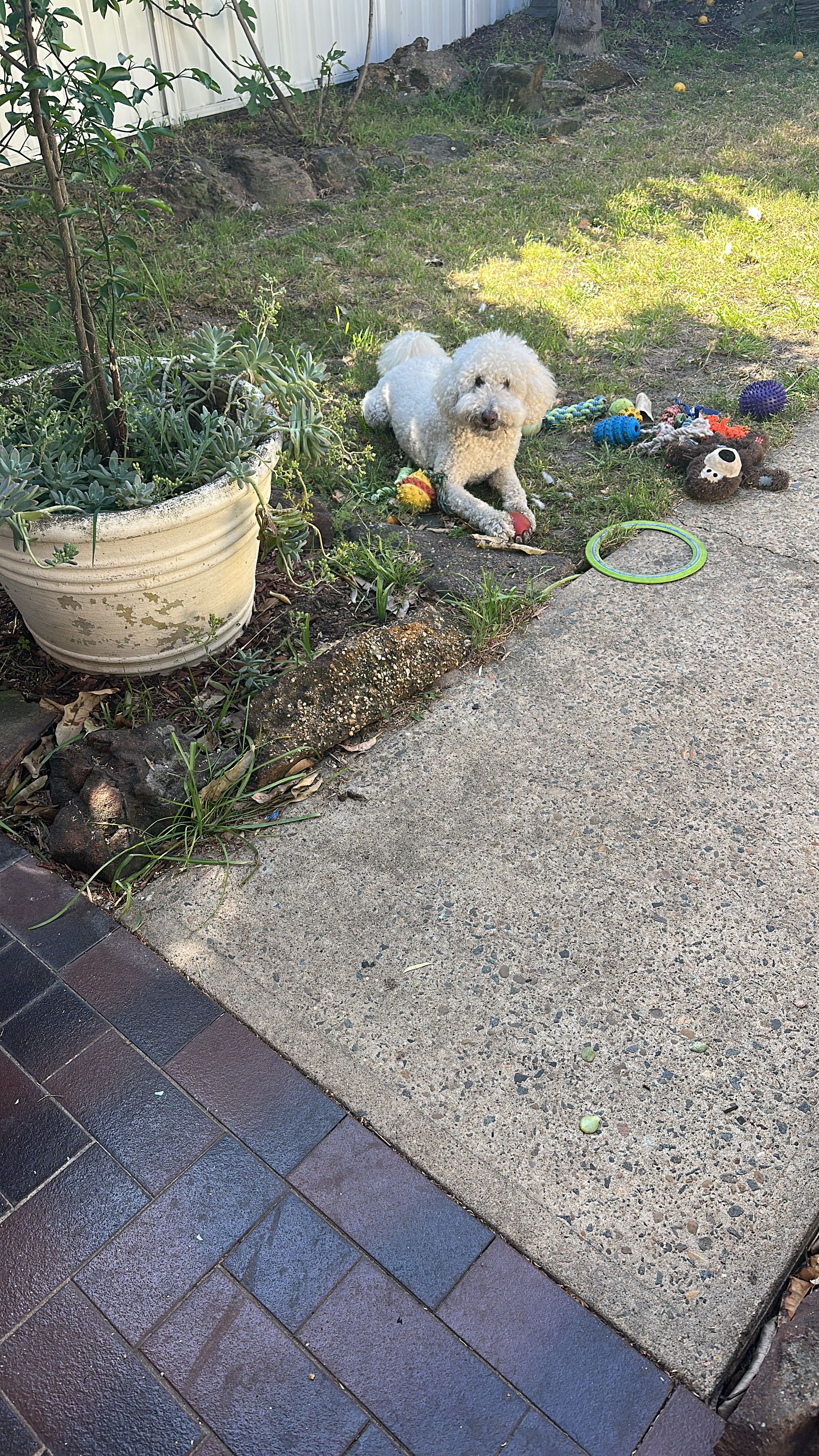 image-18