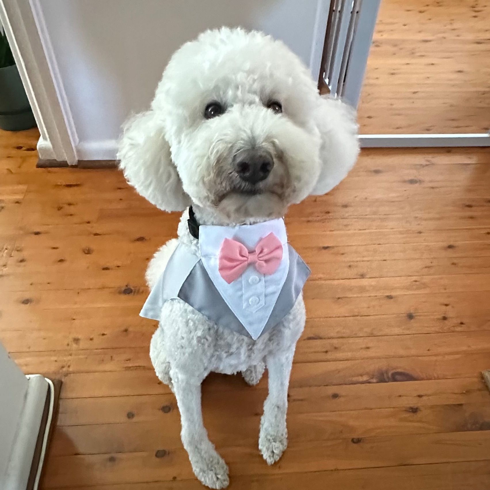 Mimi