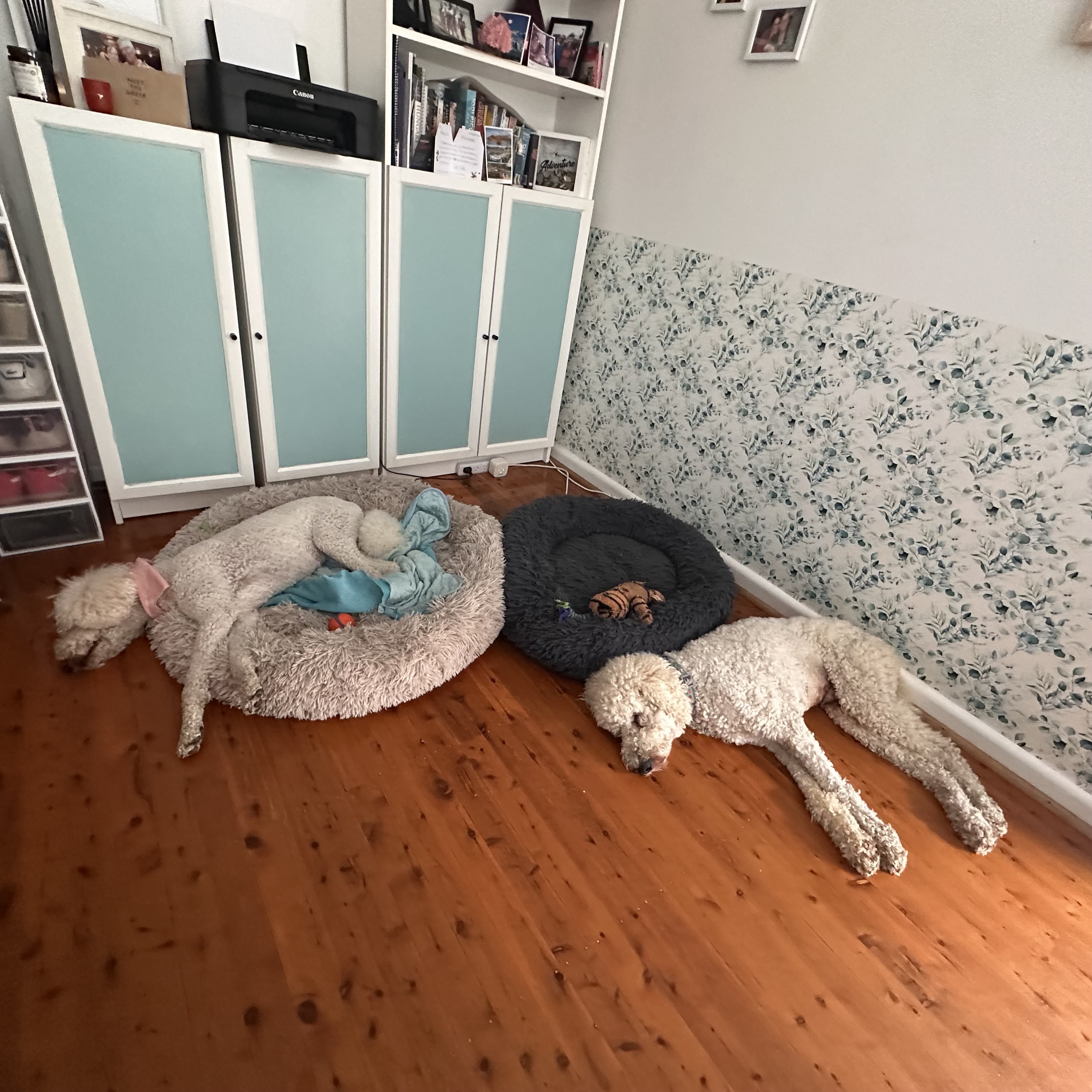 image-17