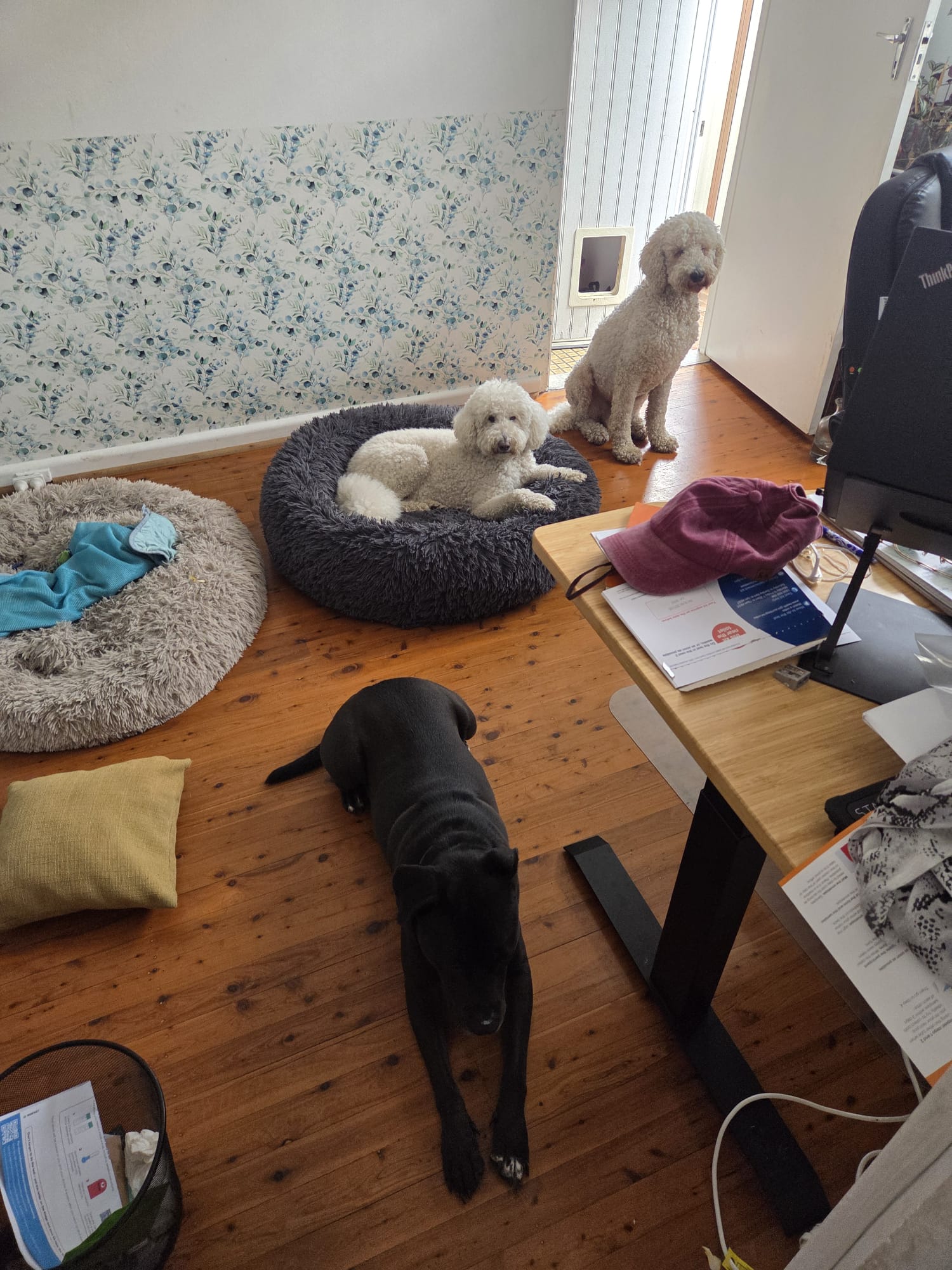 image-16
