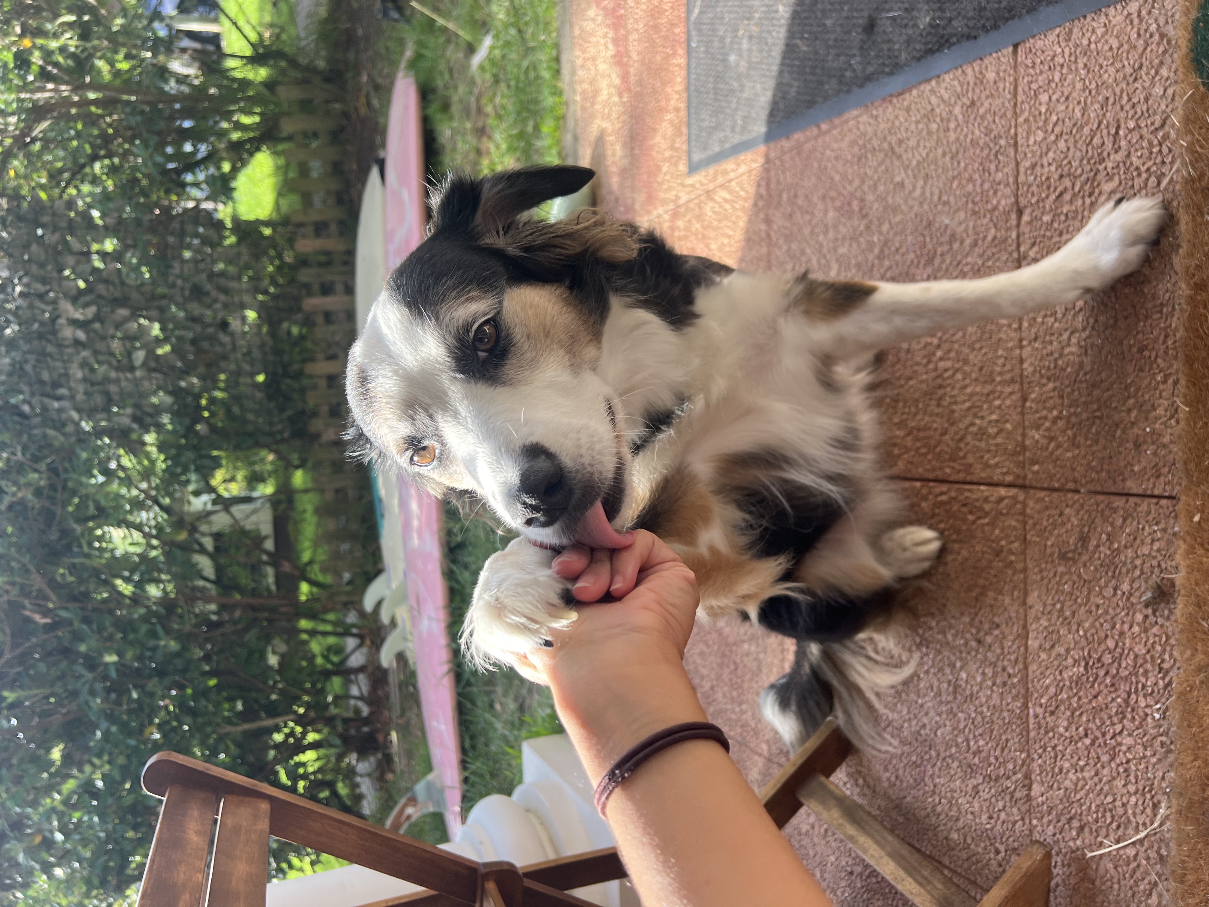 image-4