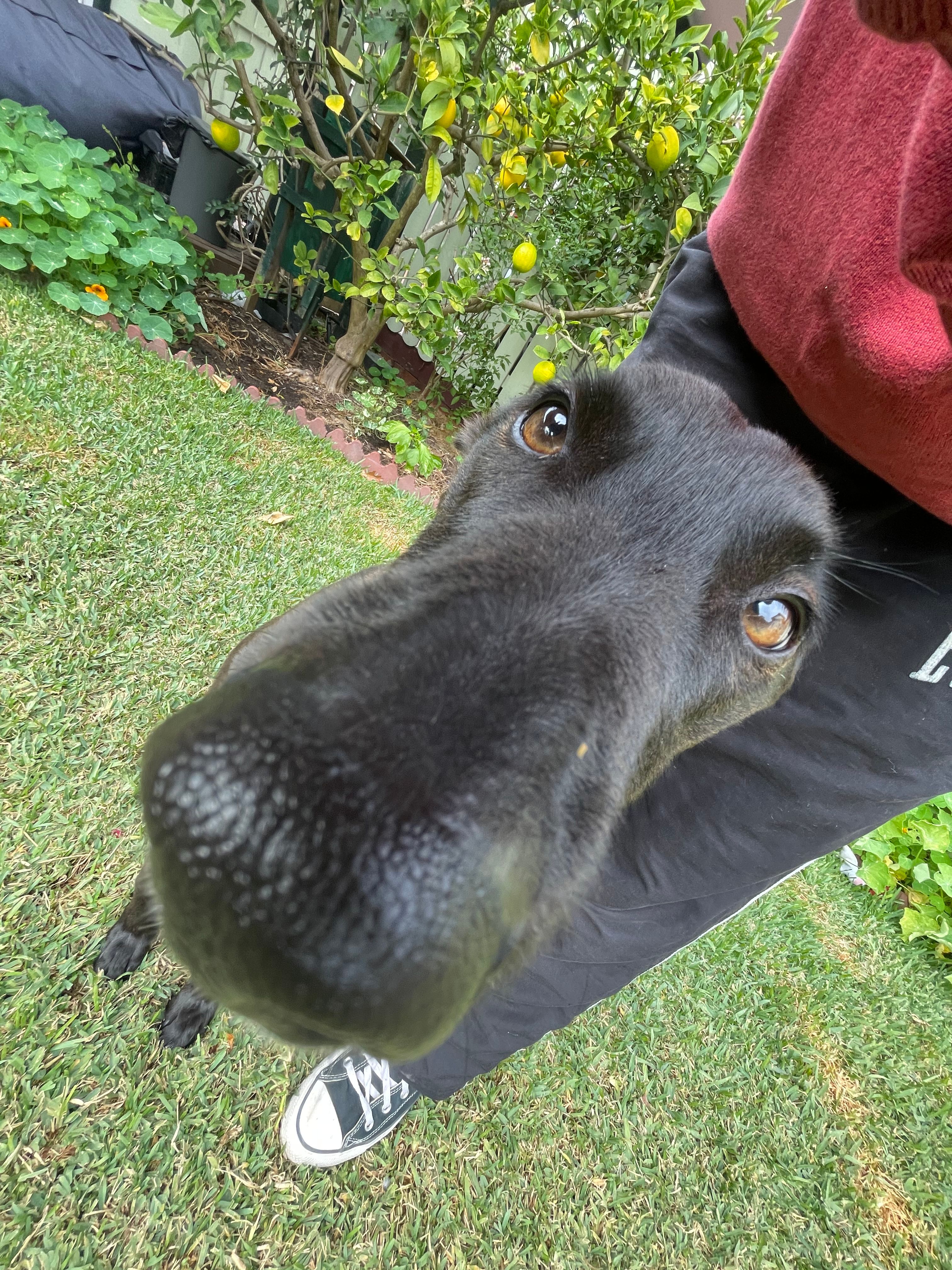 image-11