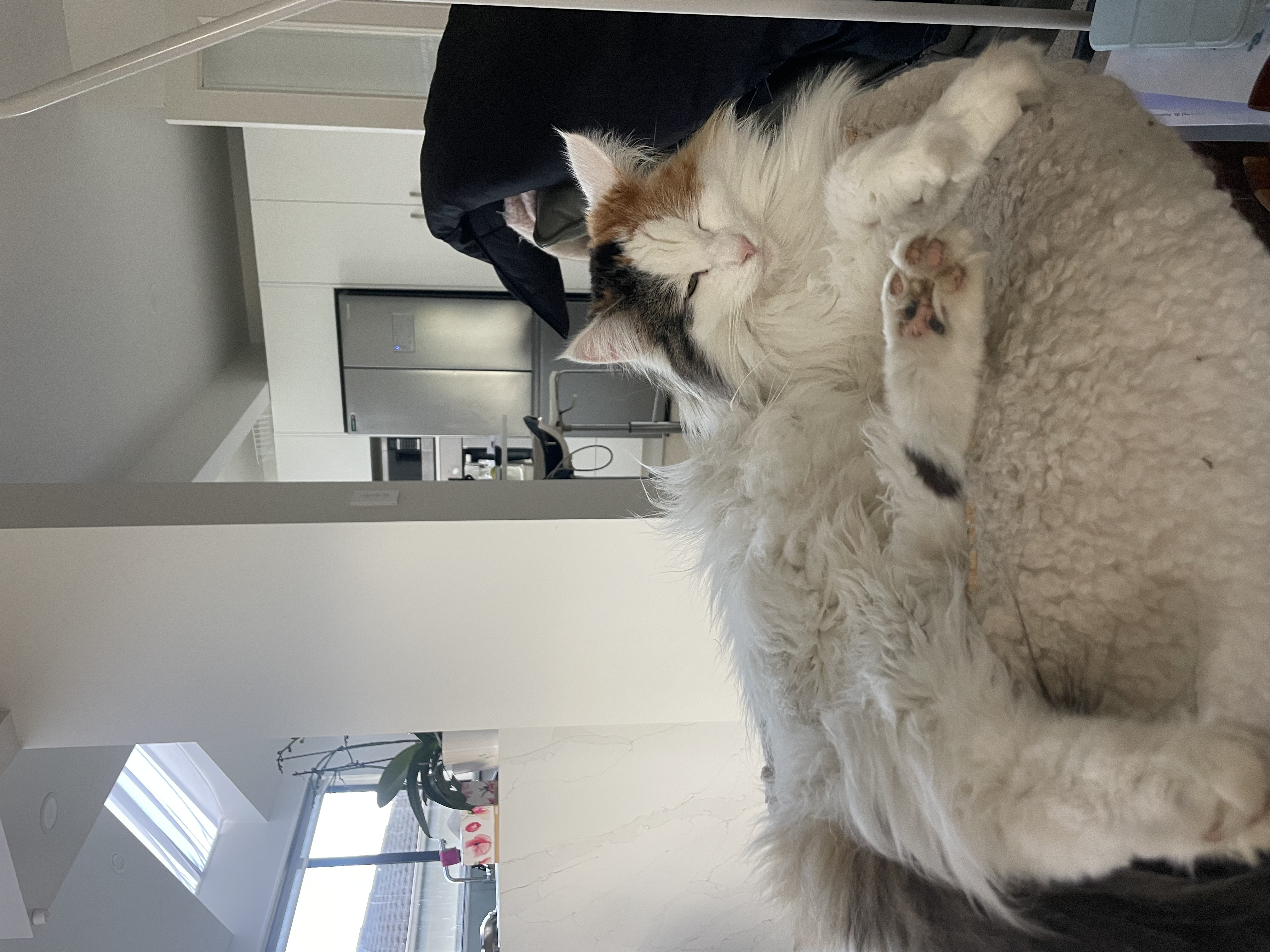 image-11
