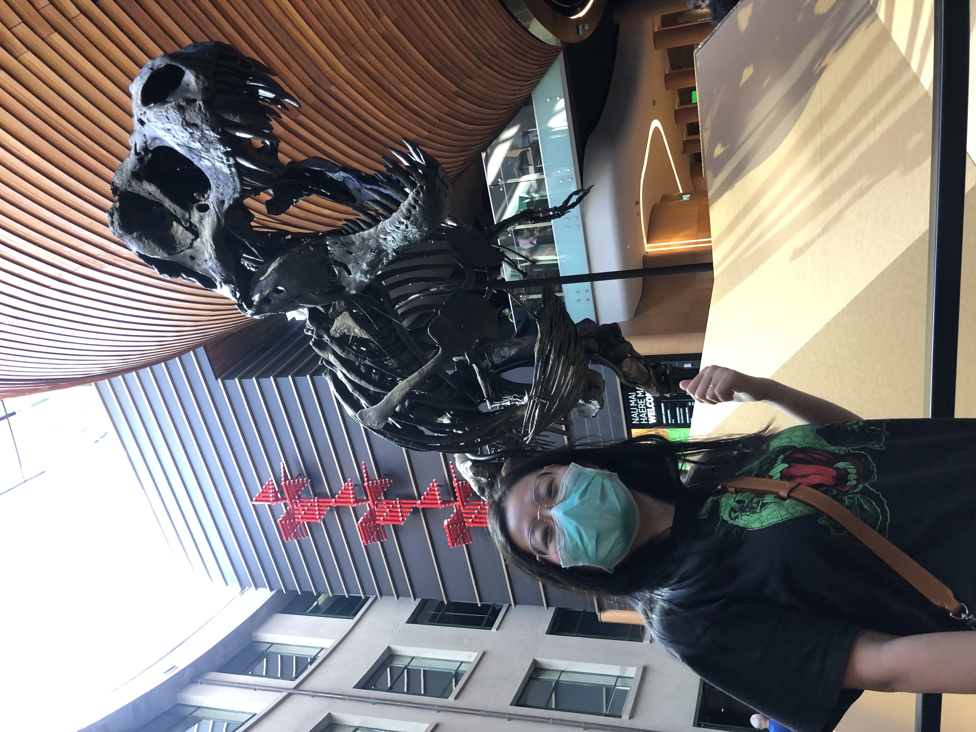 image-13