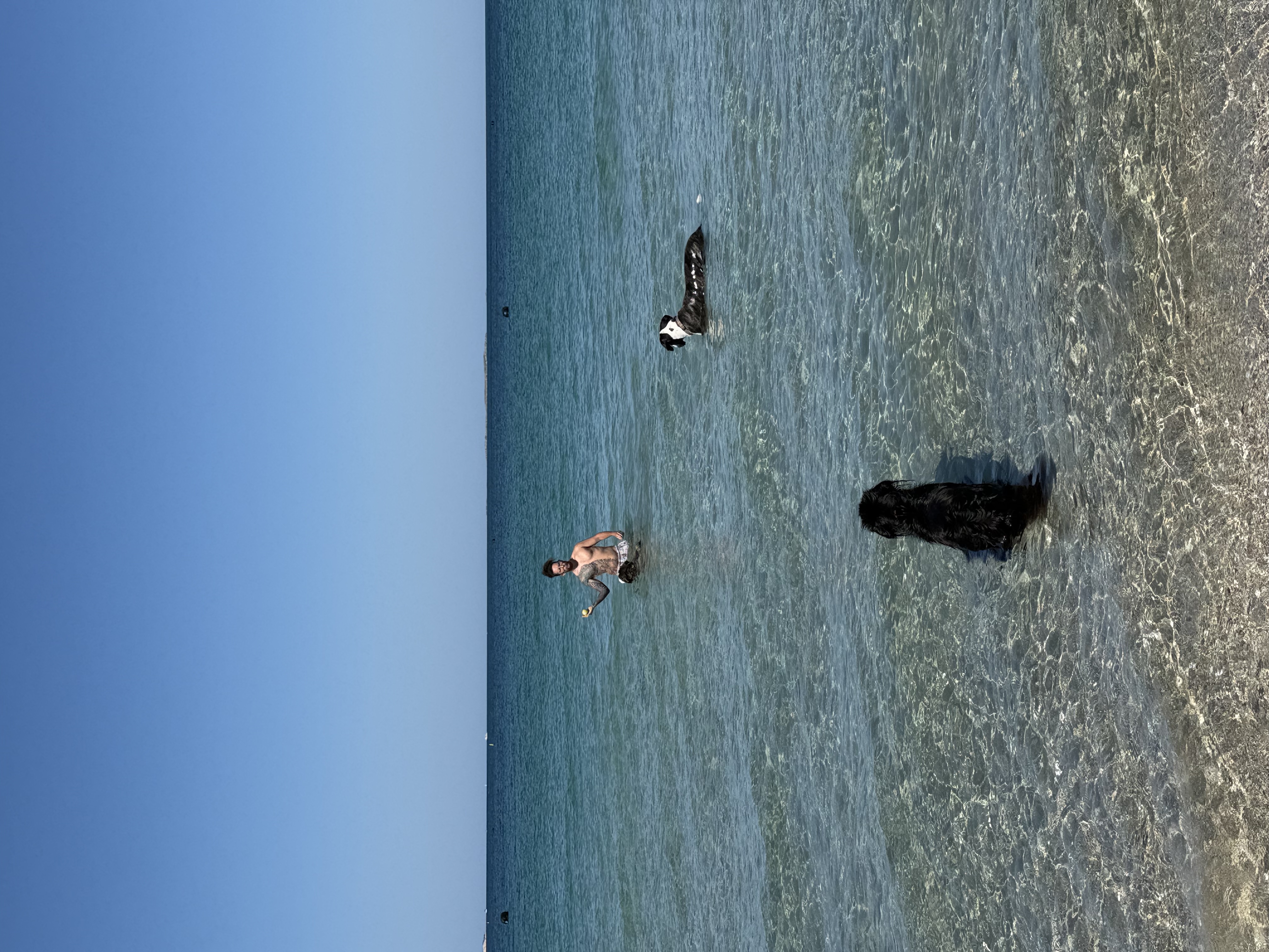 image-18