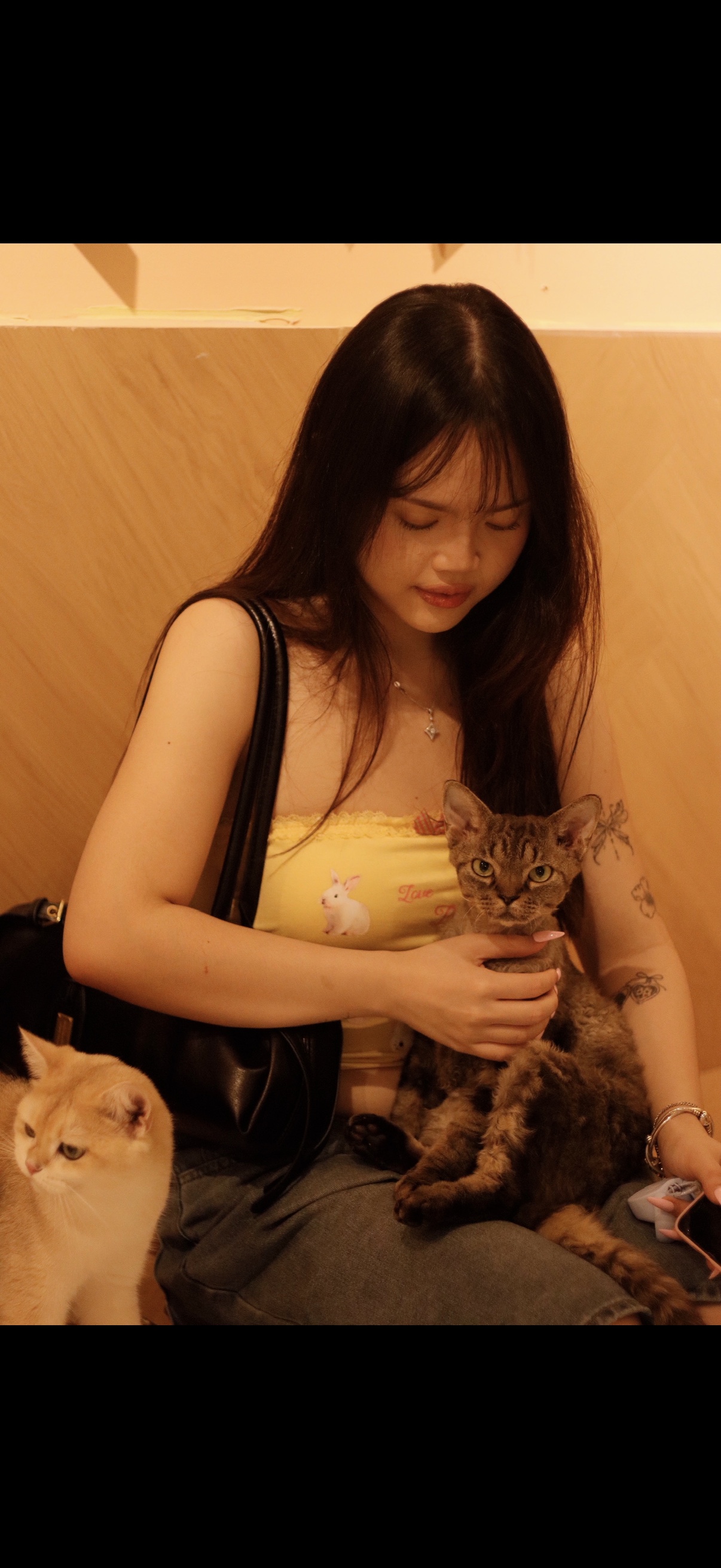 image-5