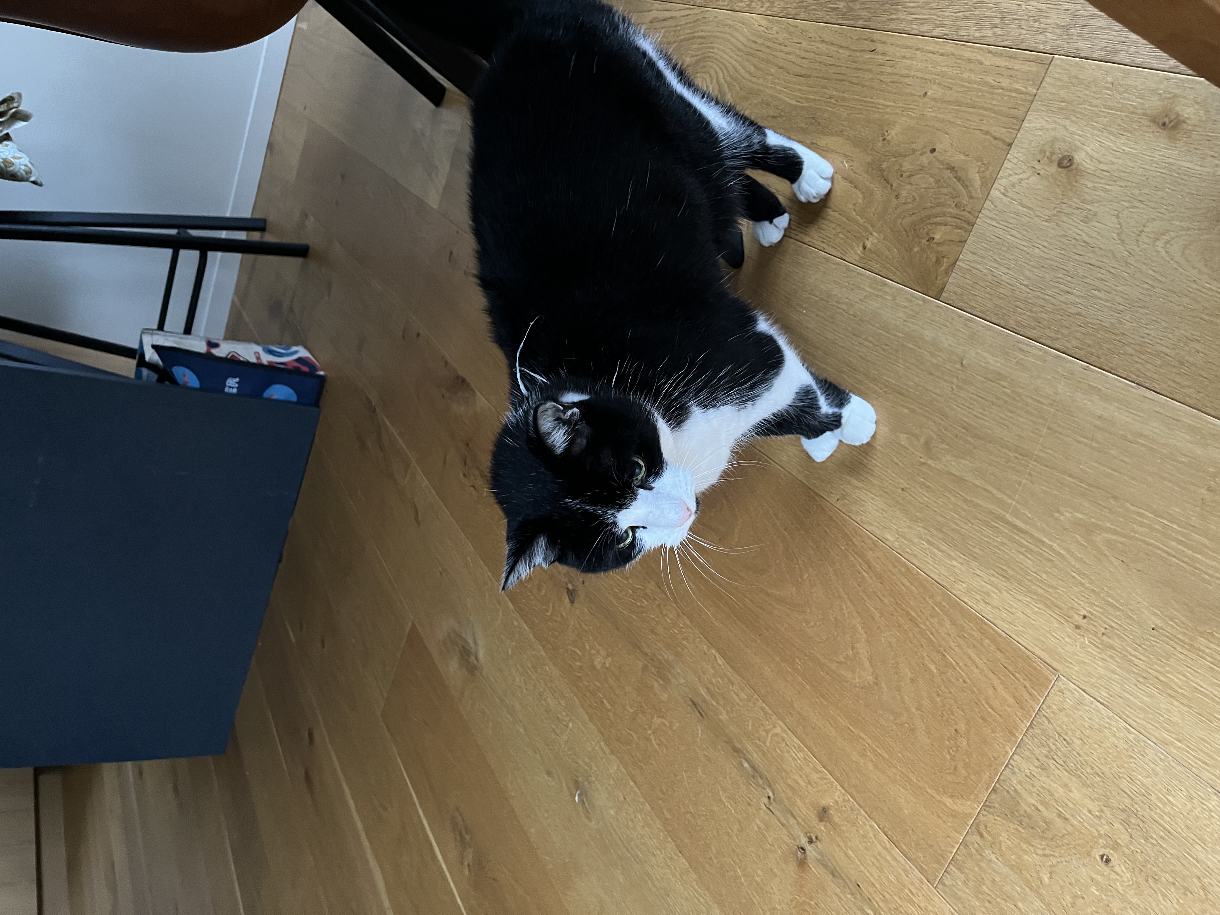 image-7