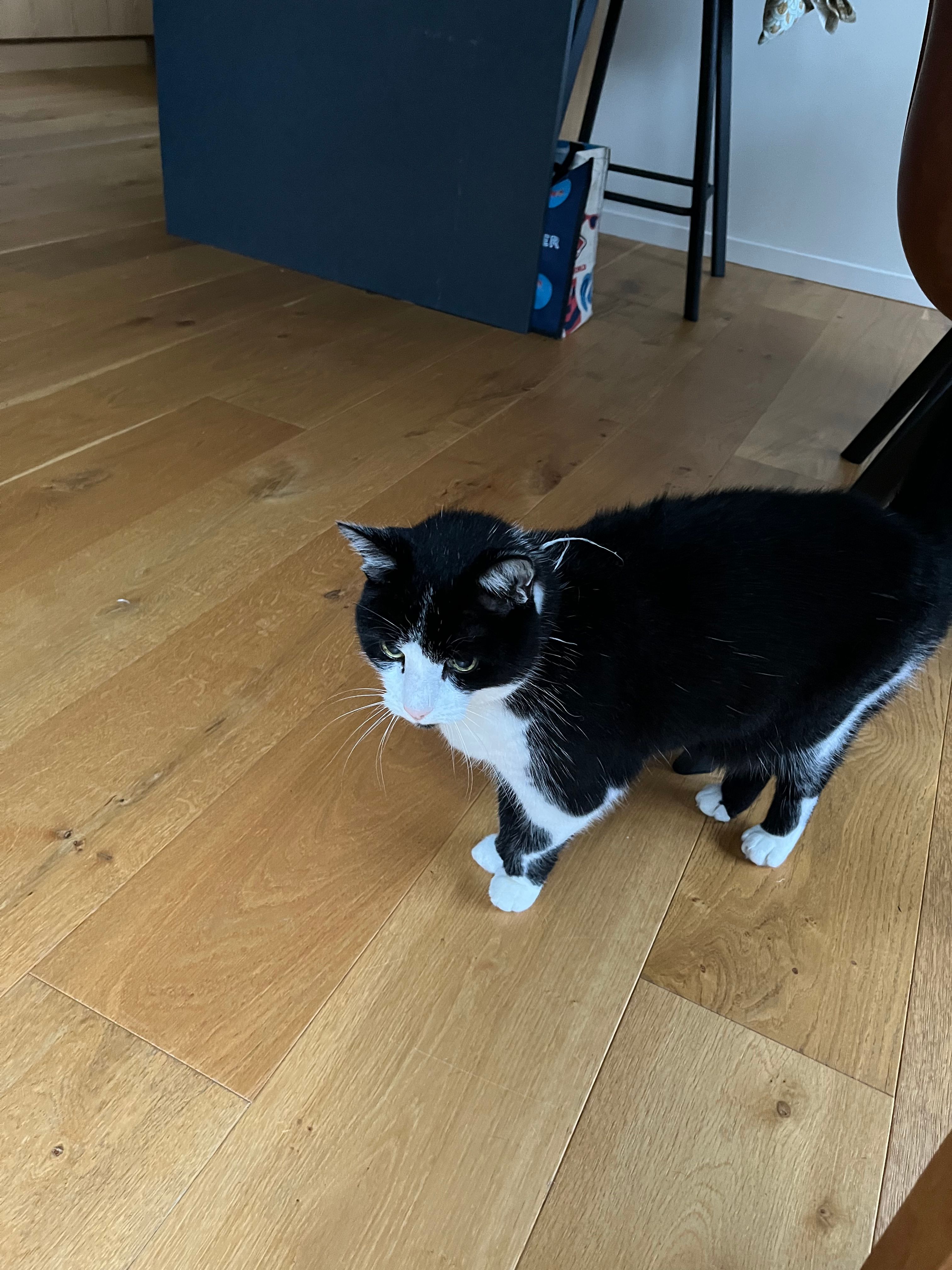image-7