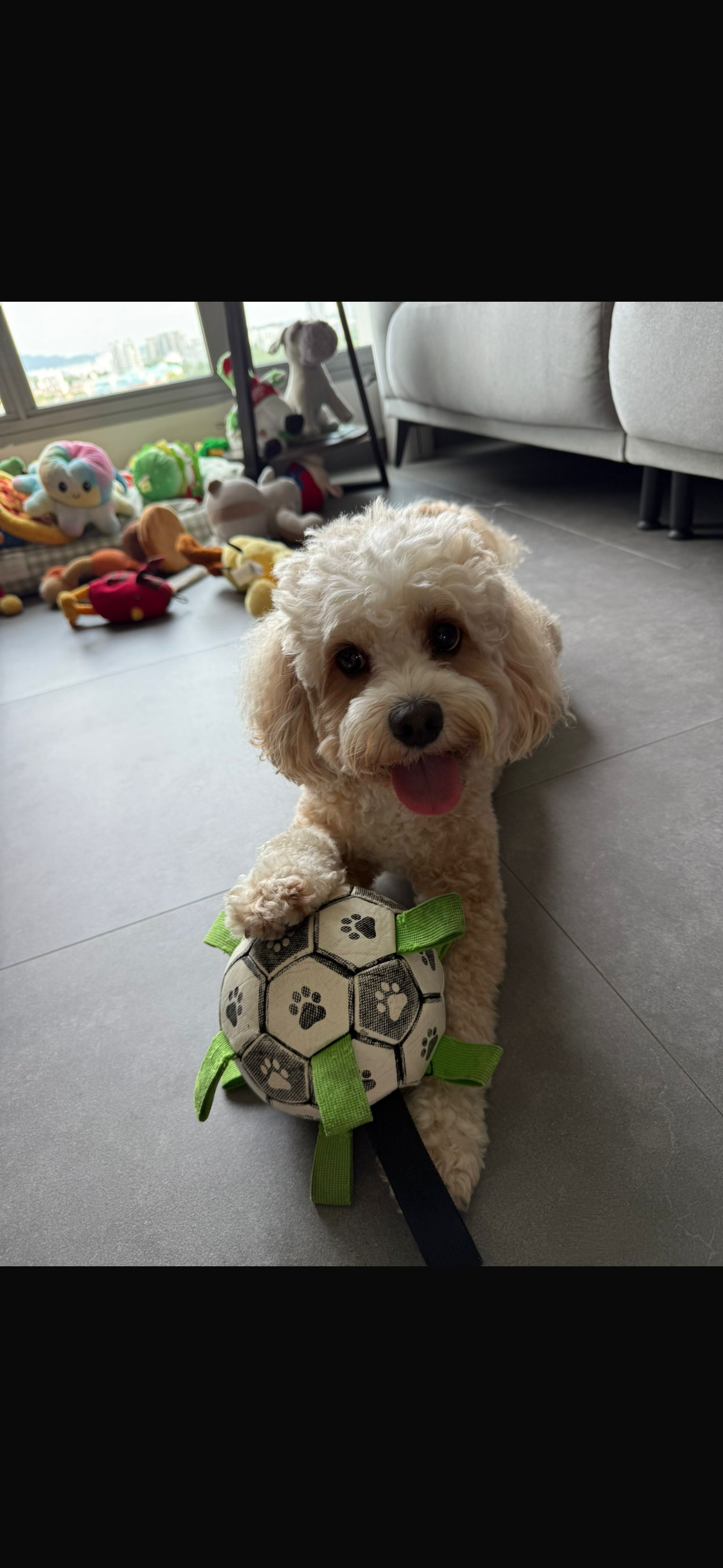 image-6