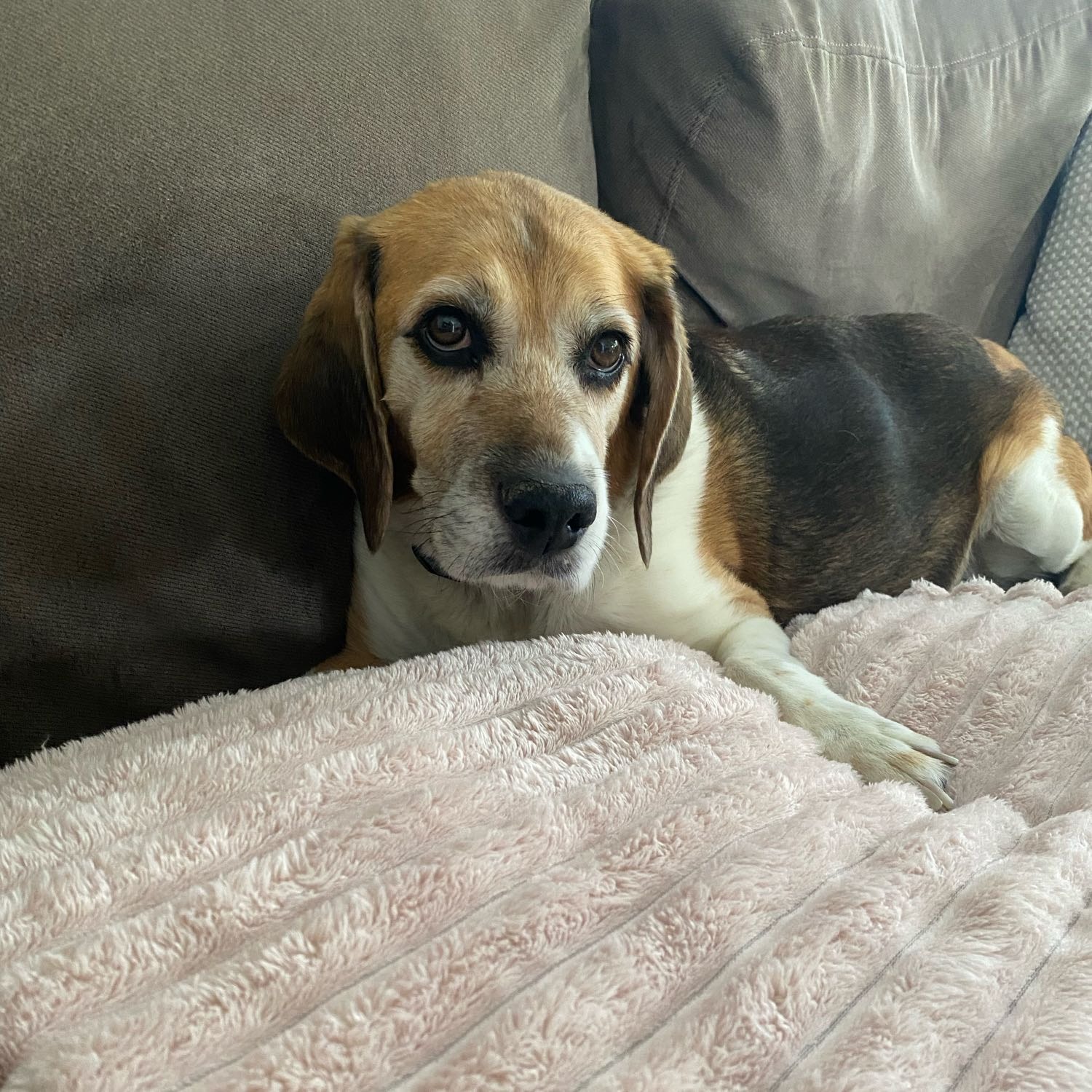 Molly