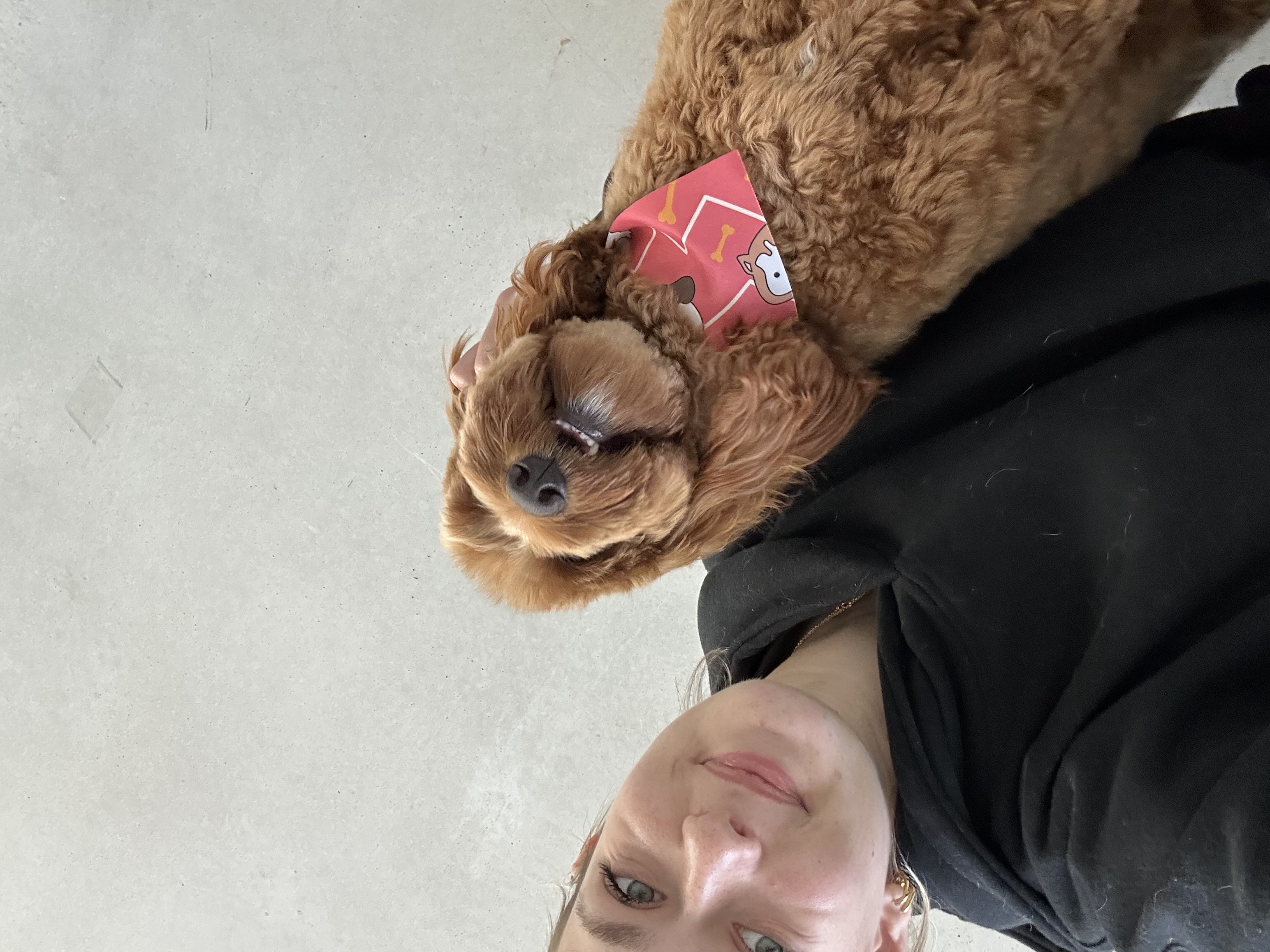 image-9