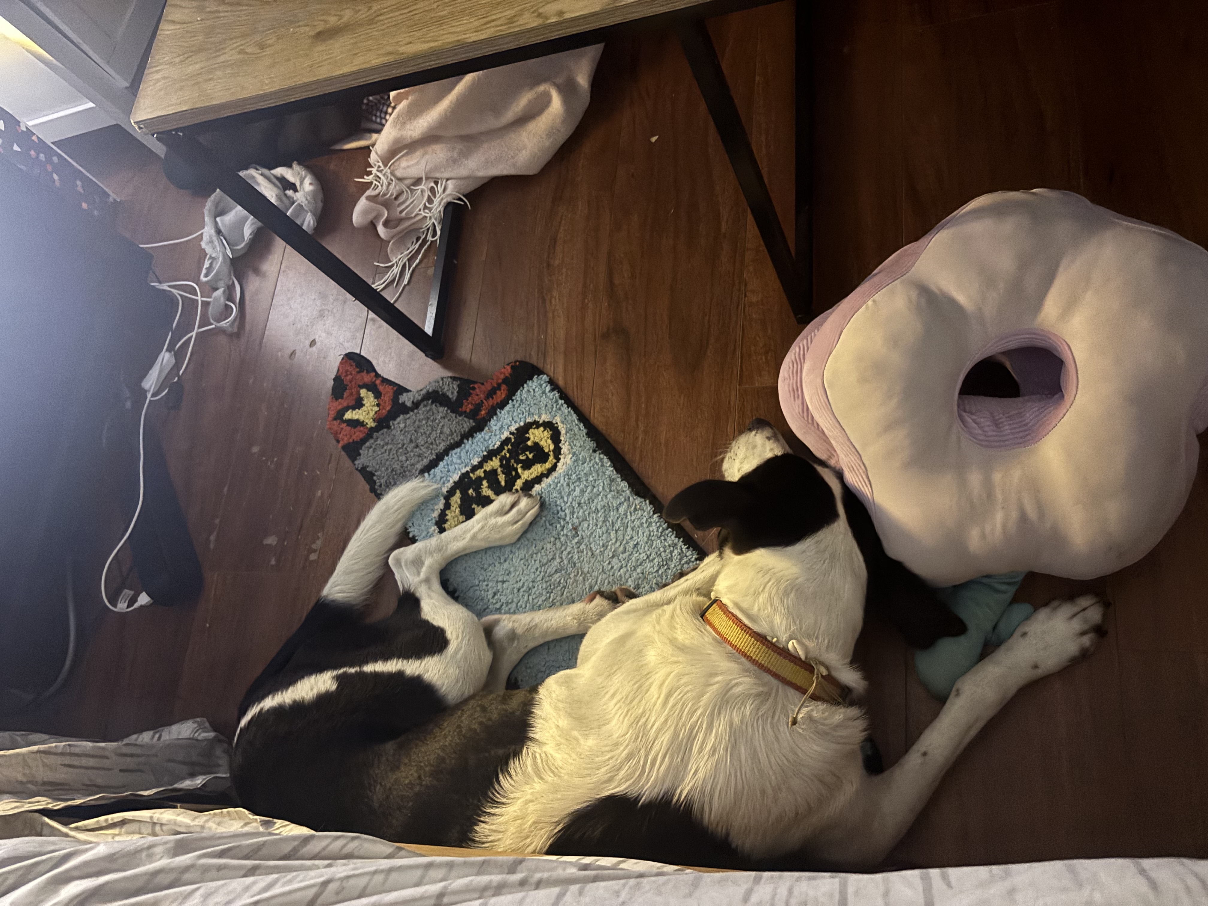 image-6
