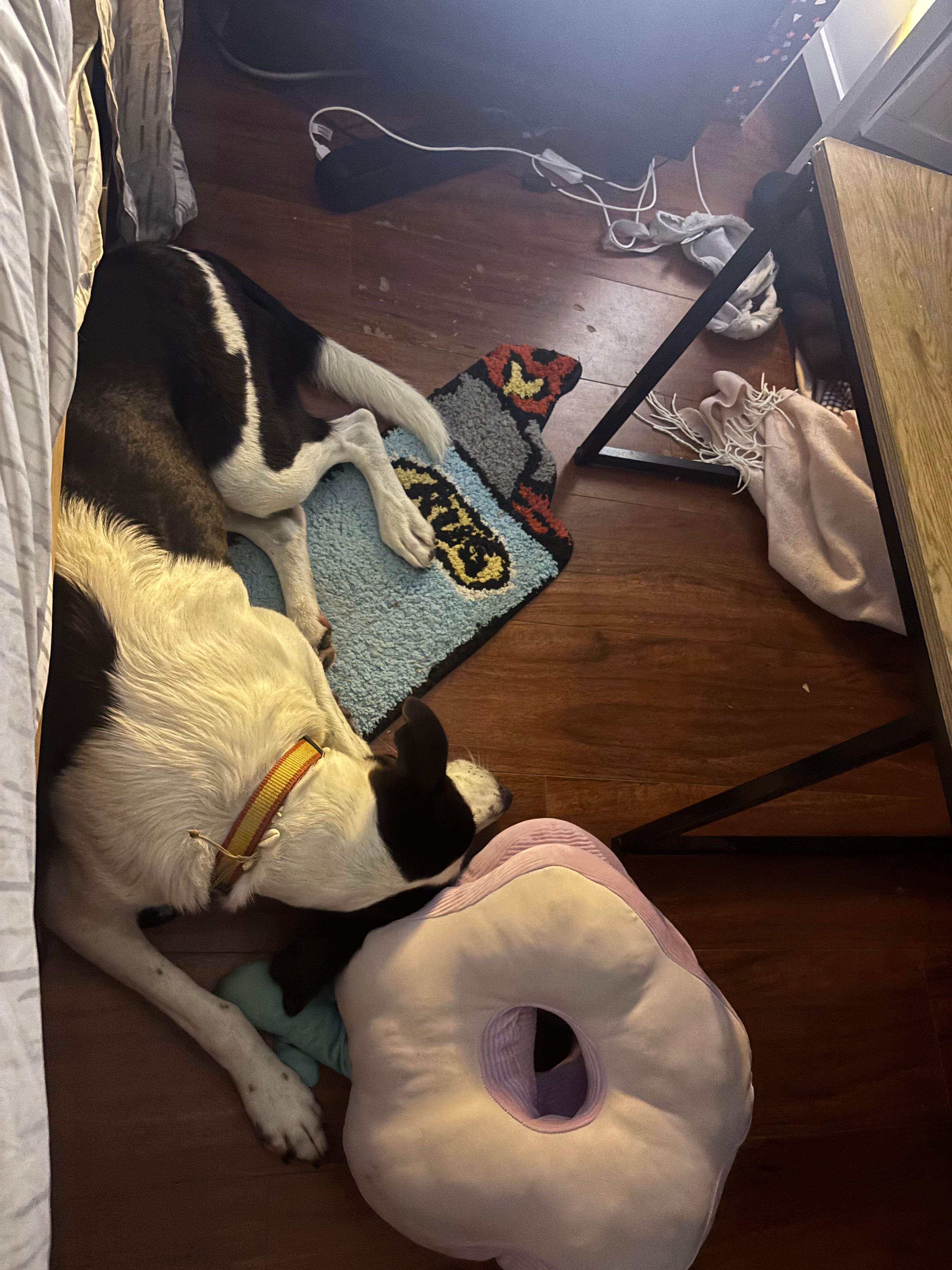 image-6