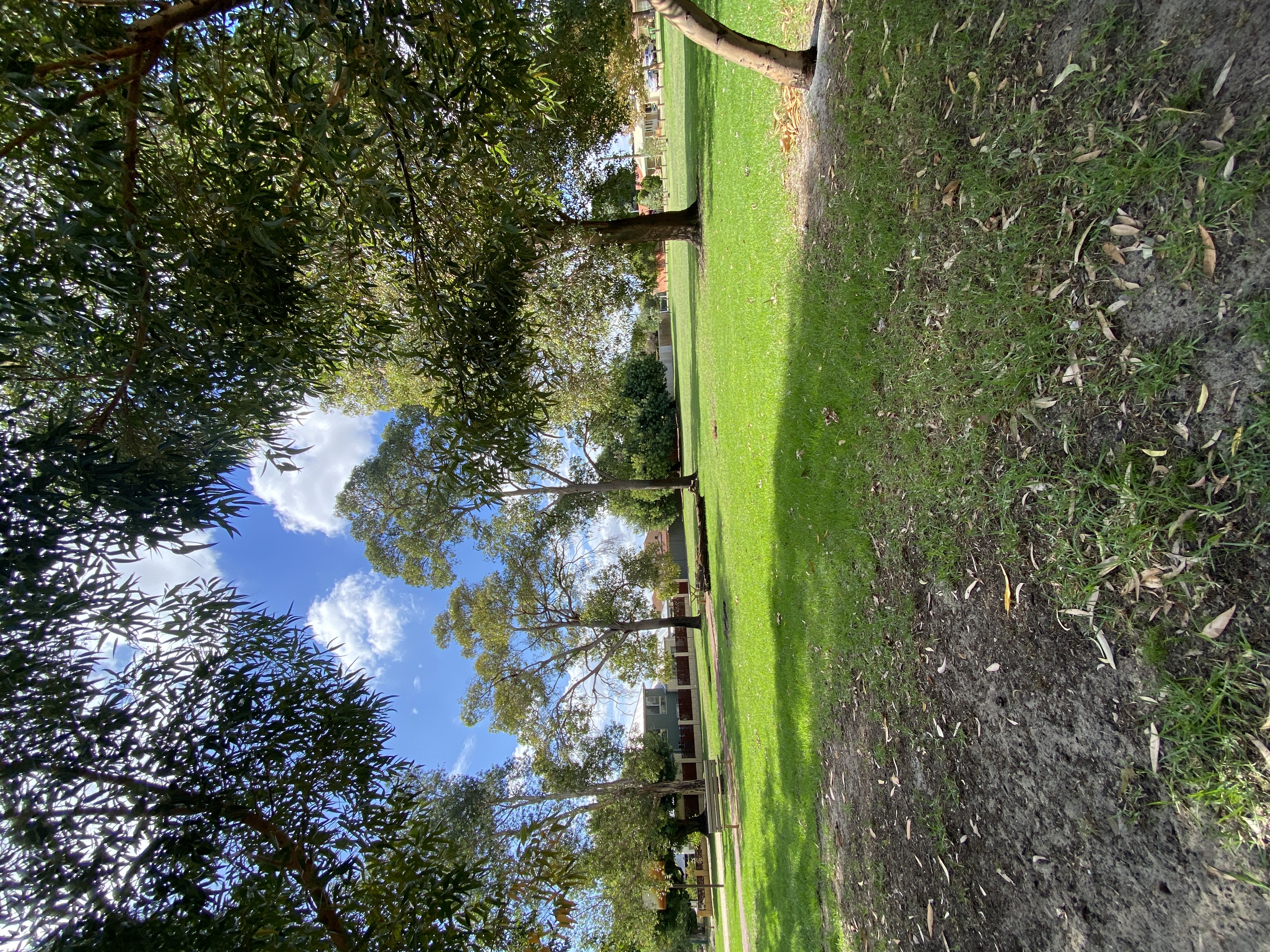 image-27