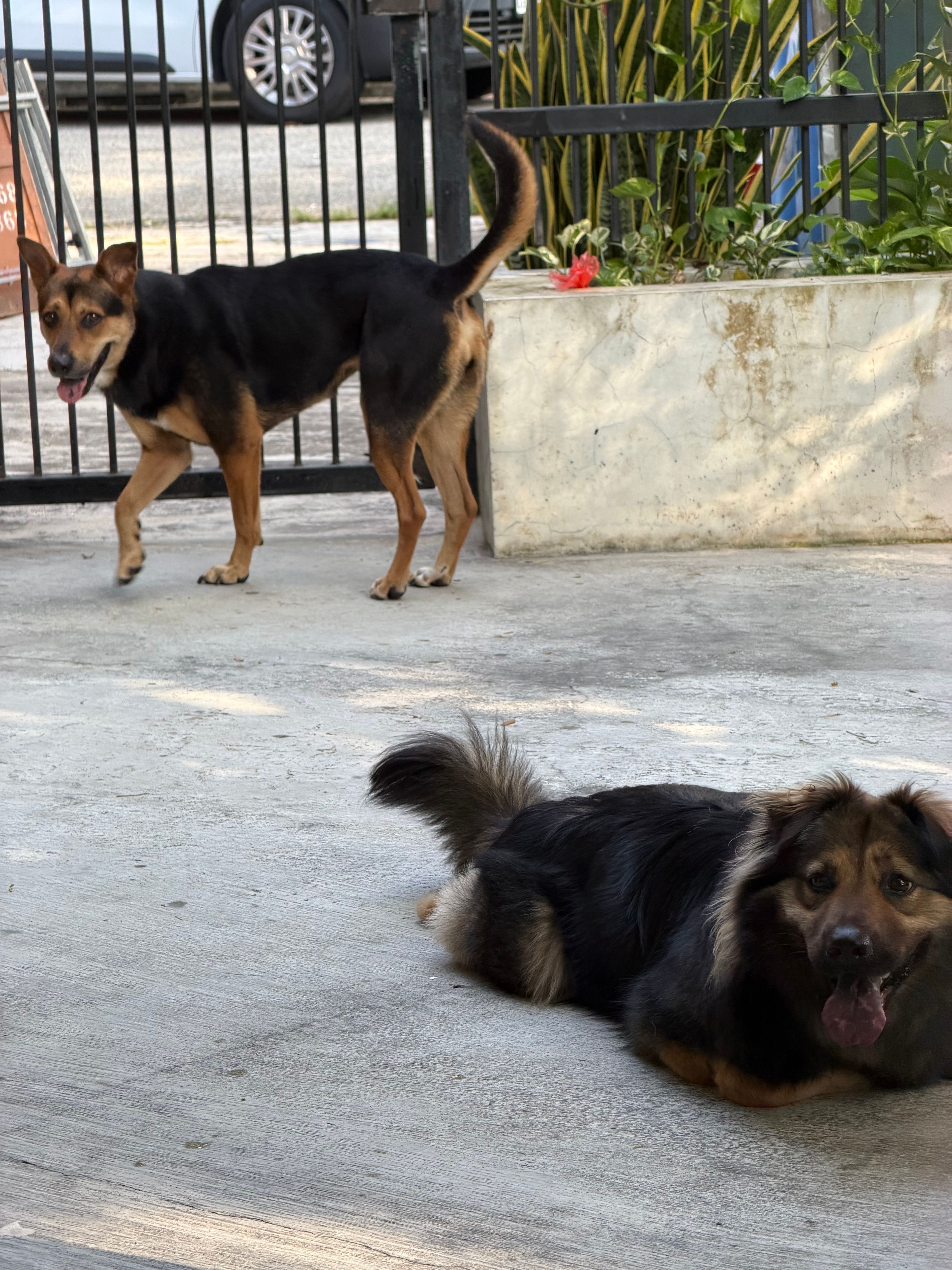 image-21