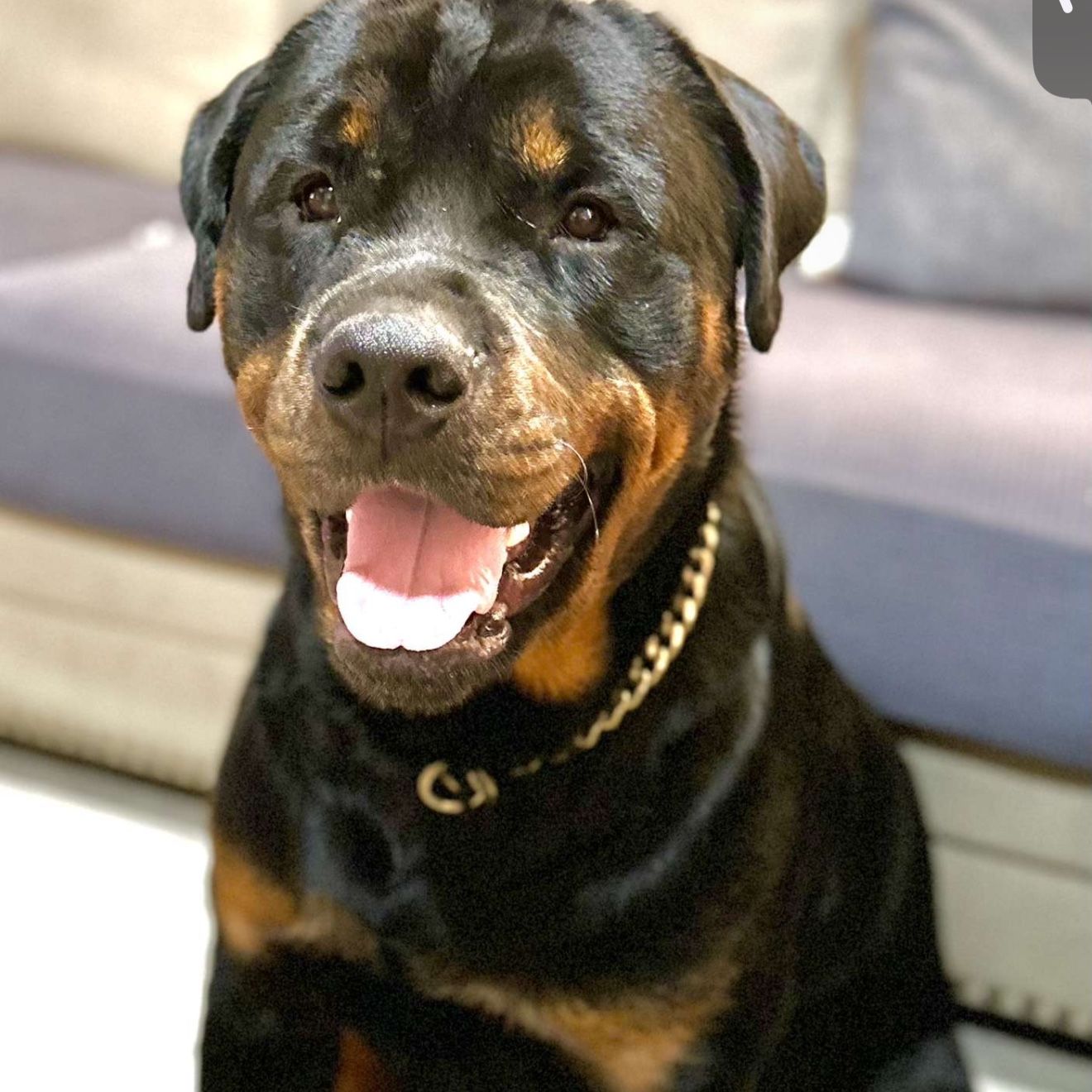 Pablo