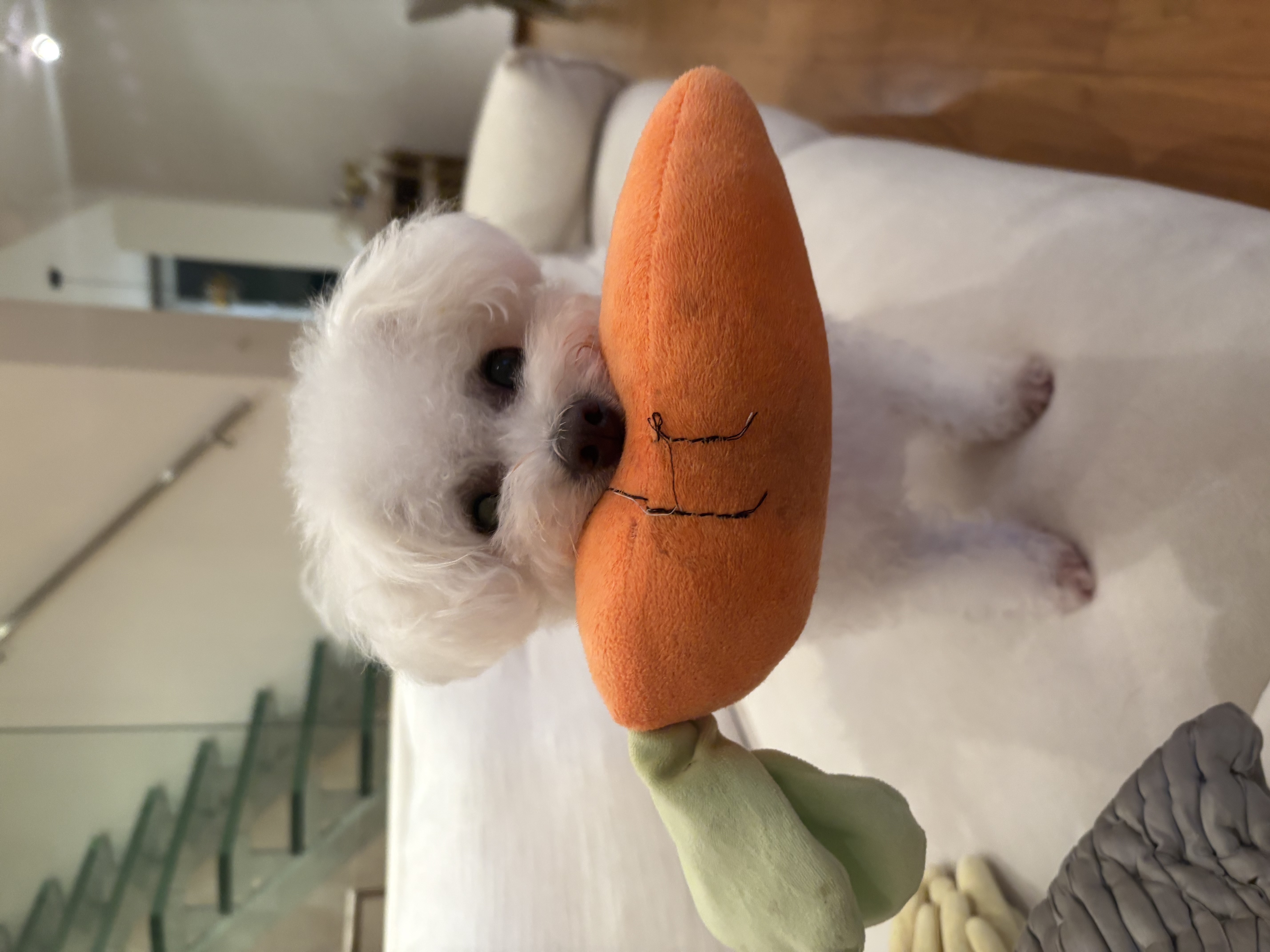 image-6