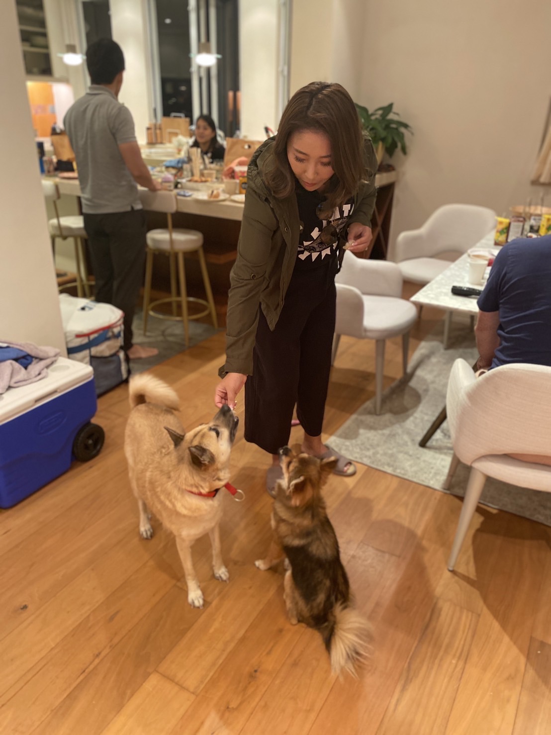 image-14