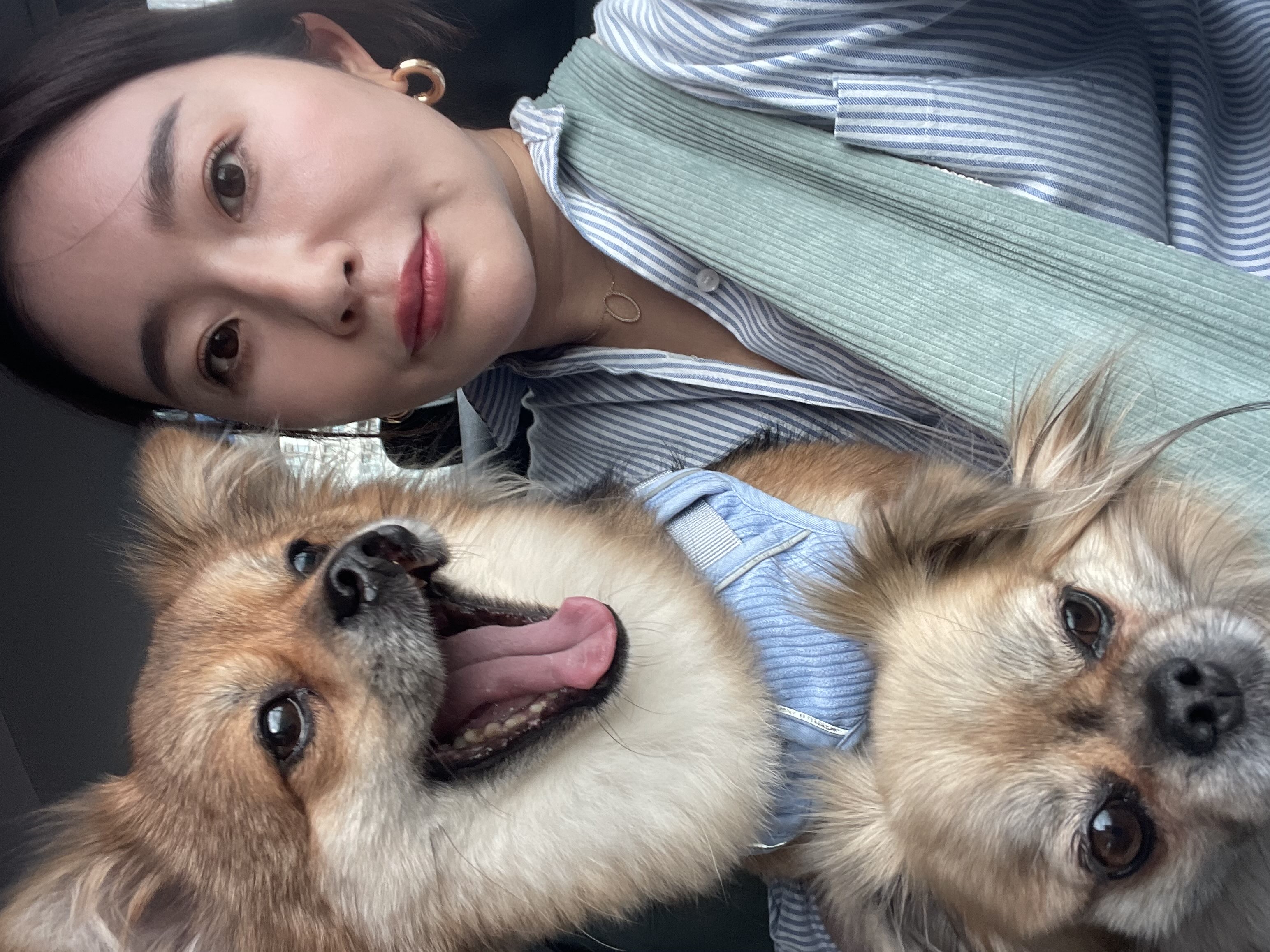 image-7