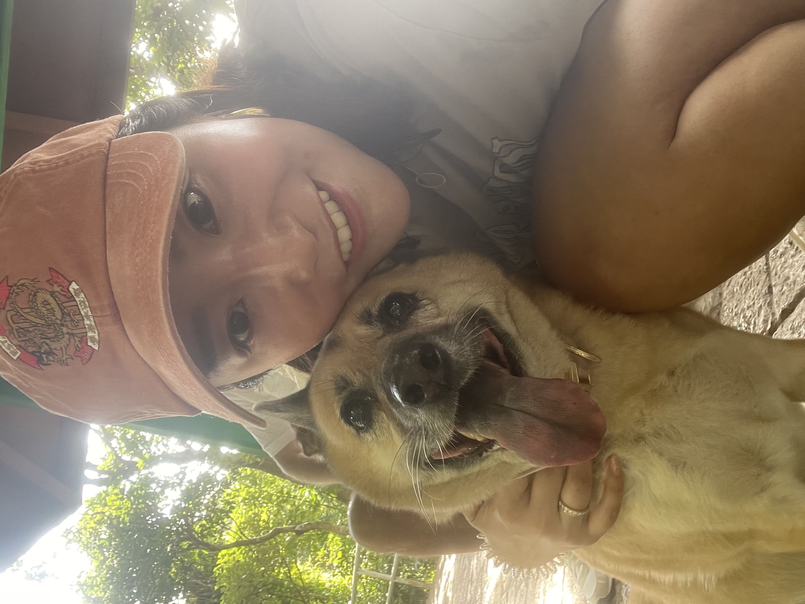 image-8