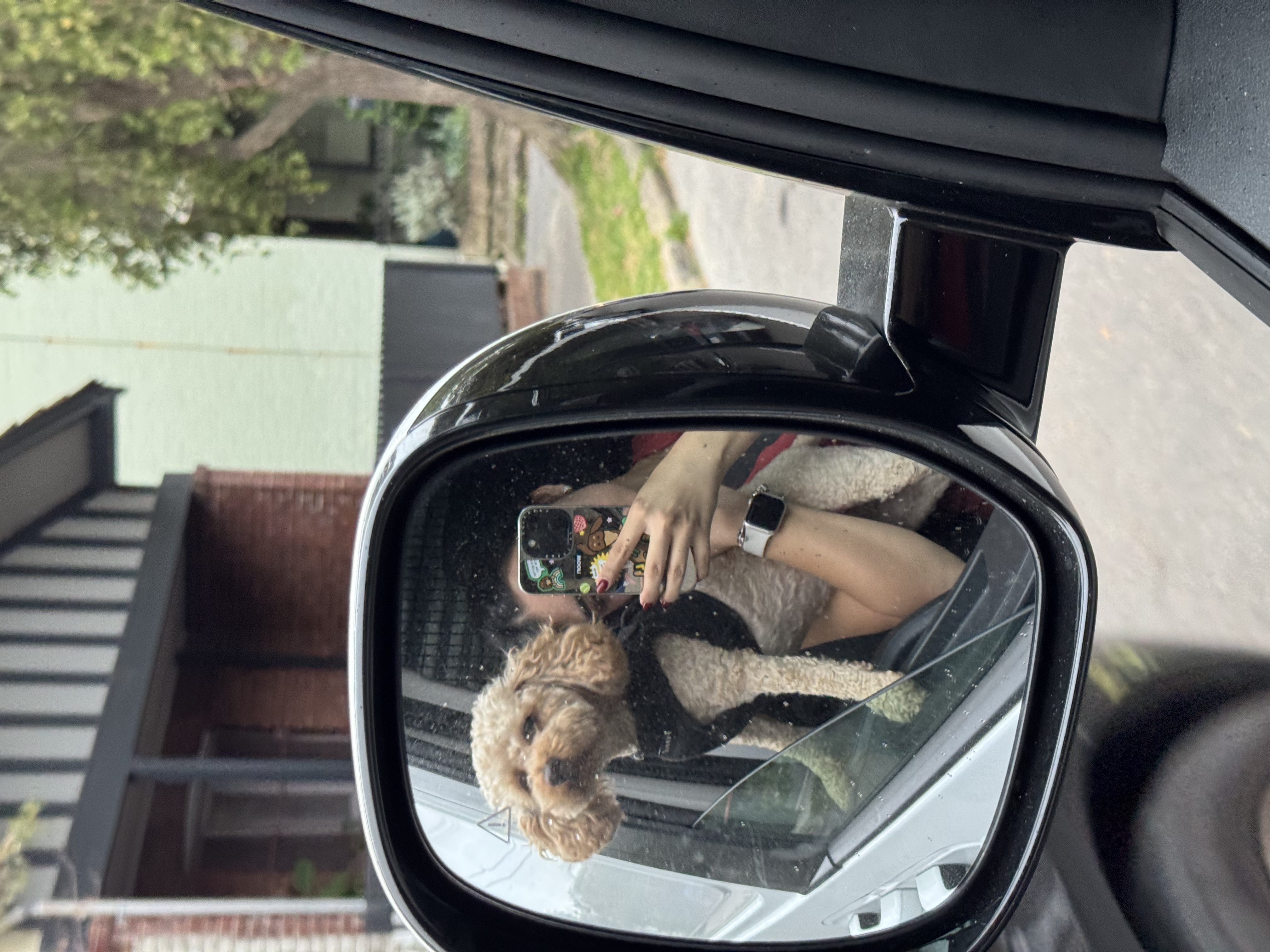 image-7