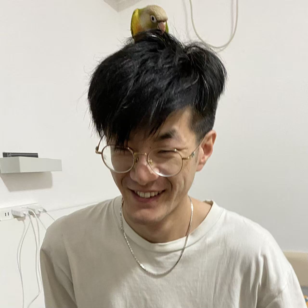 image-7