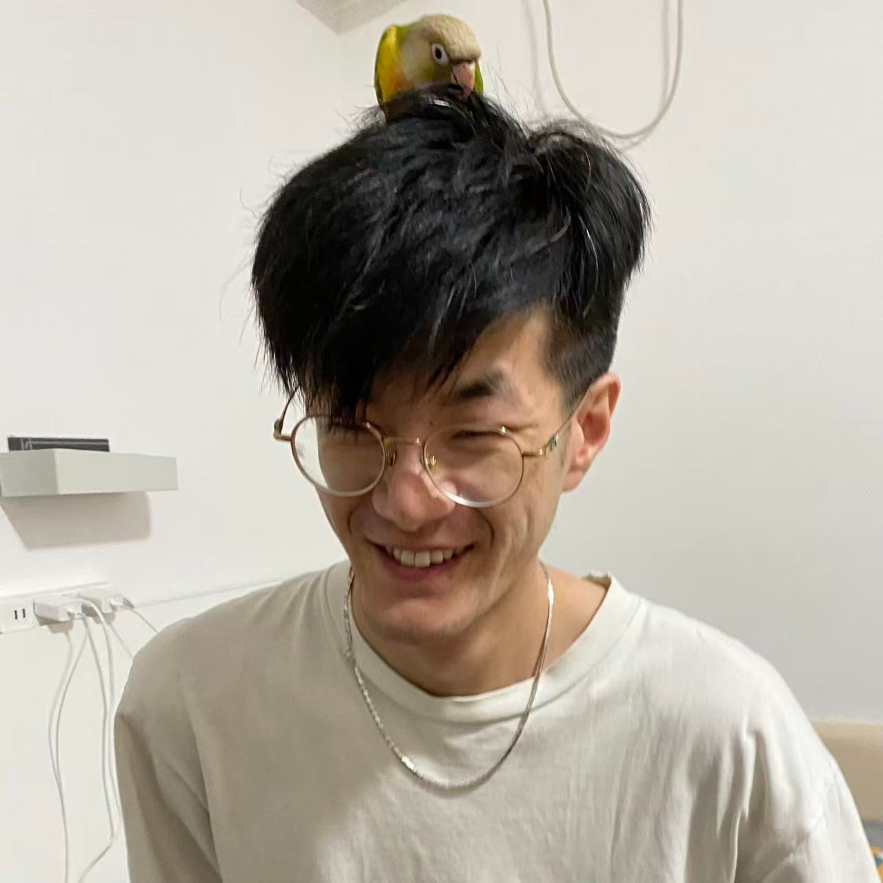 image-7