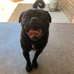 Wes