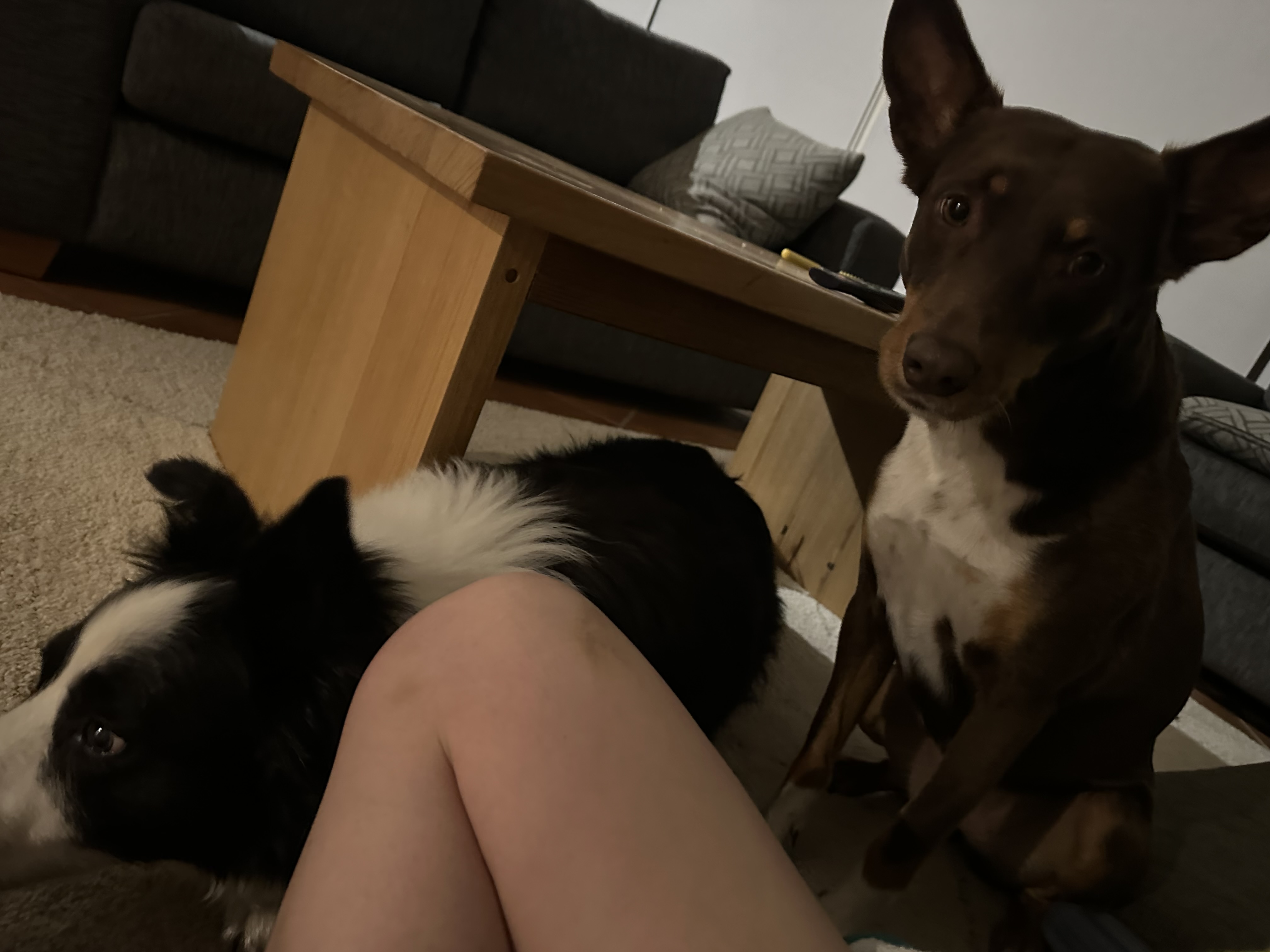 image-8