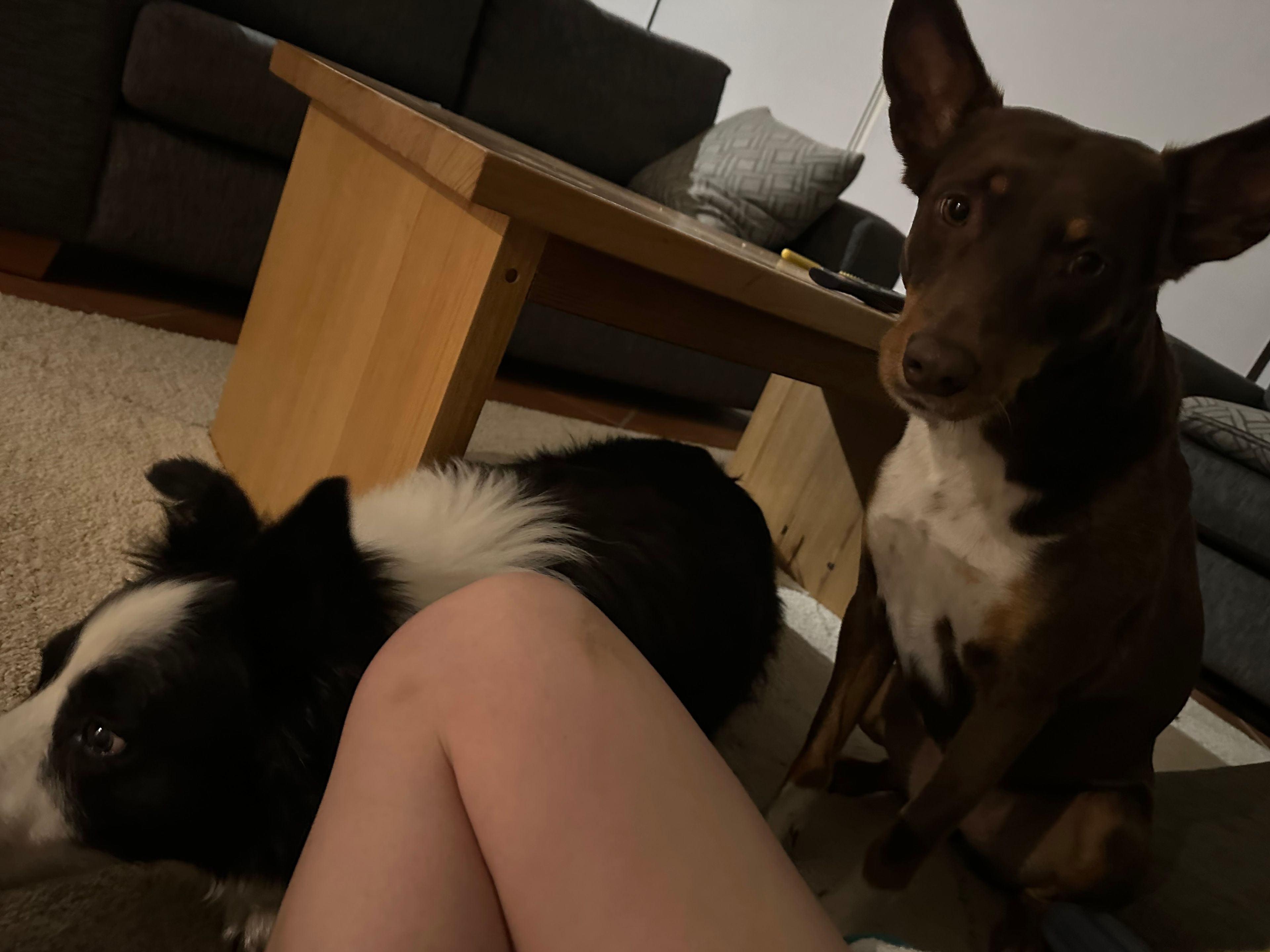 image-8