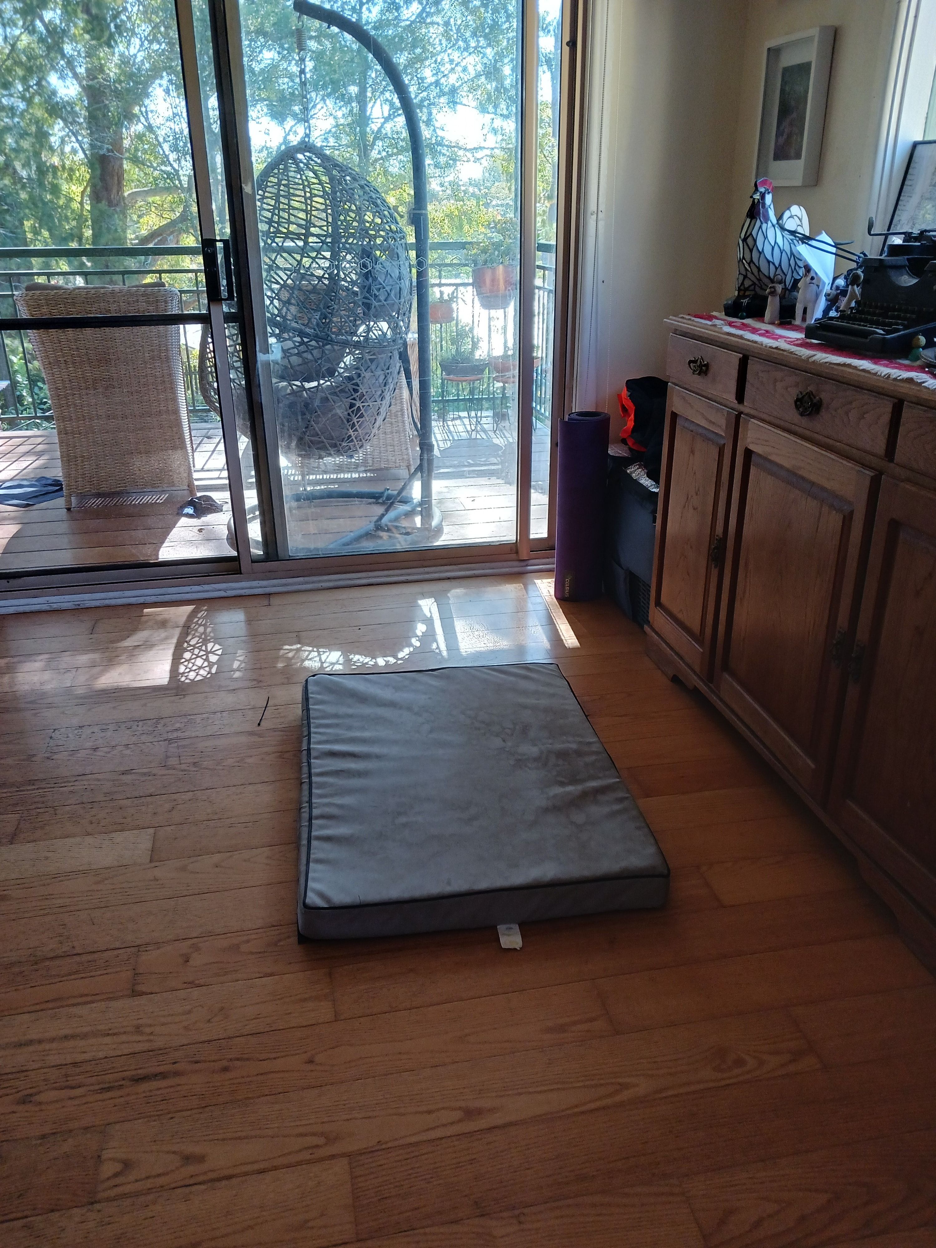 image-15