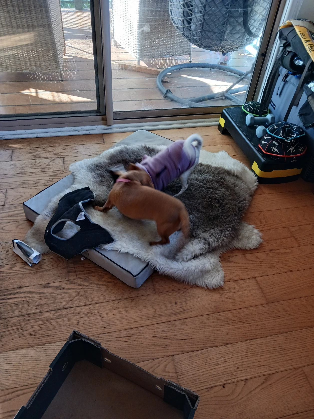 image-11