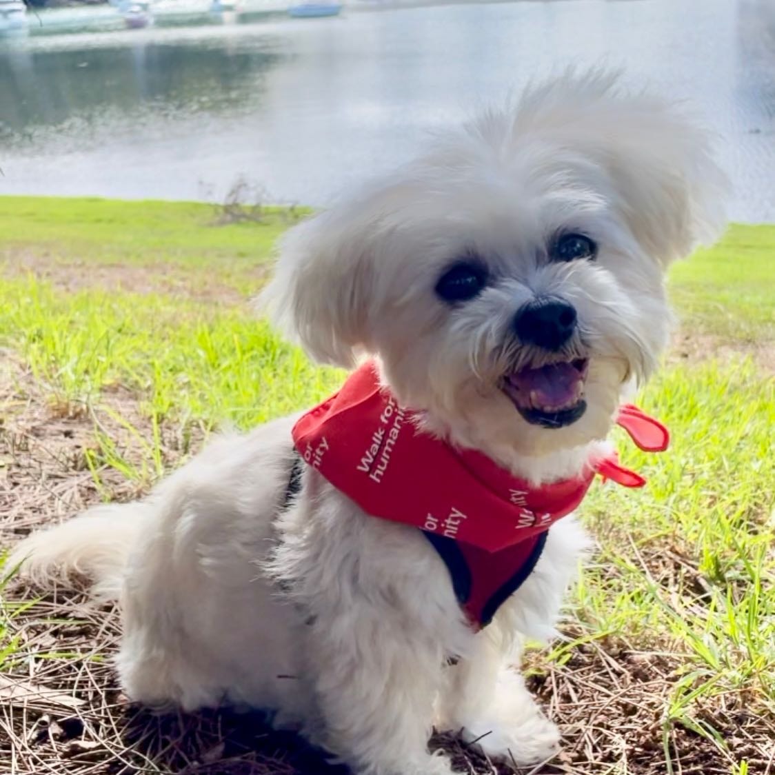 Gracie