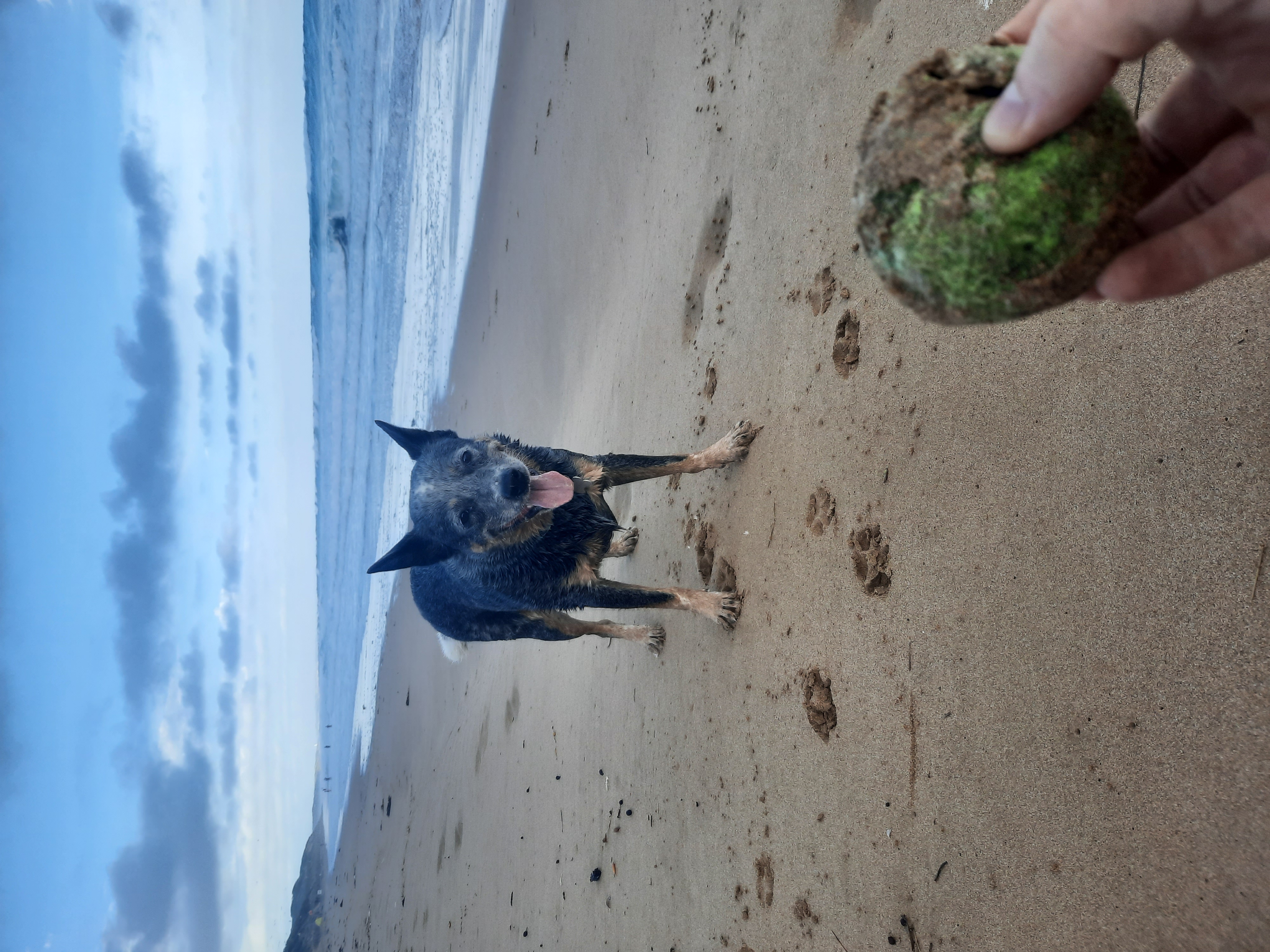 image-4