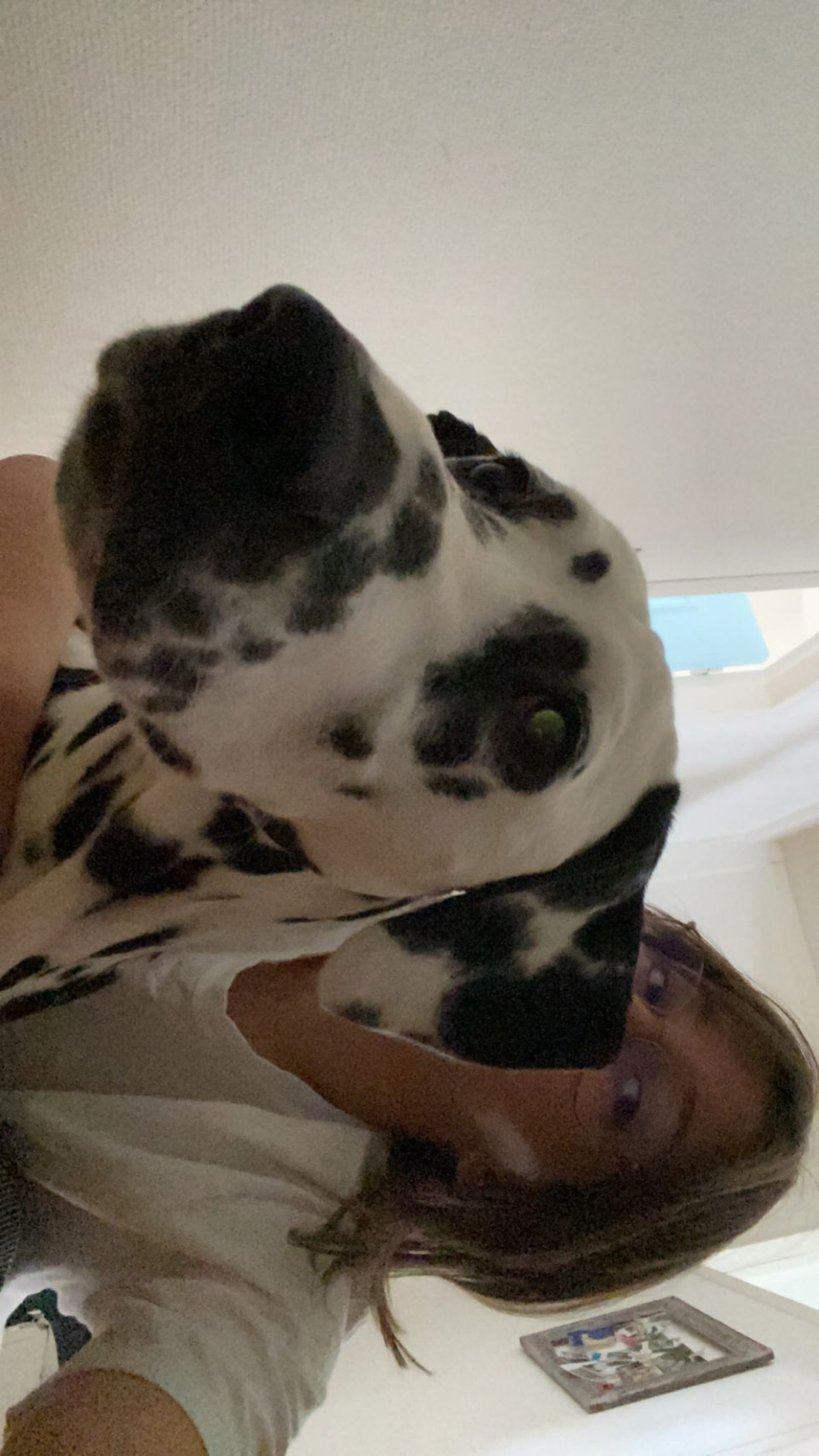image-6