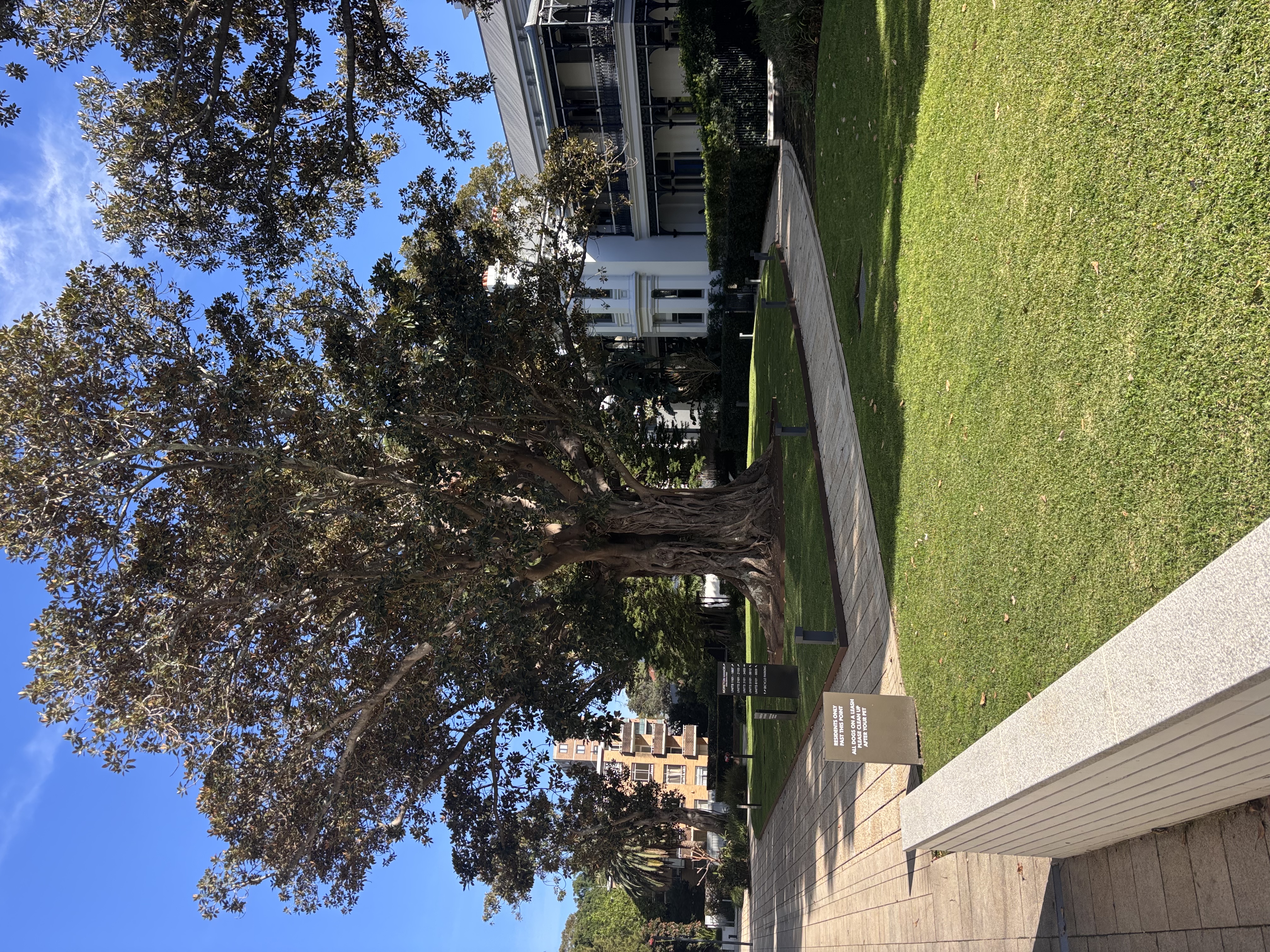 image-17