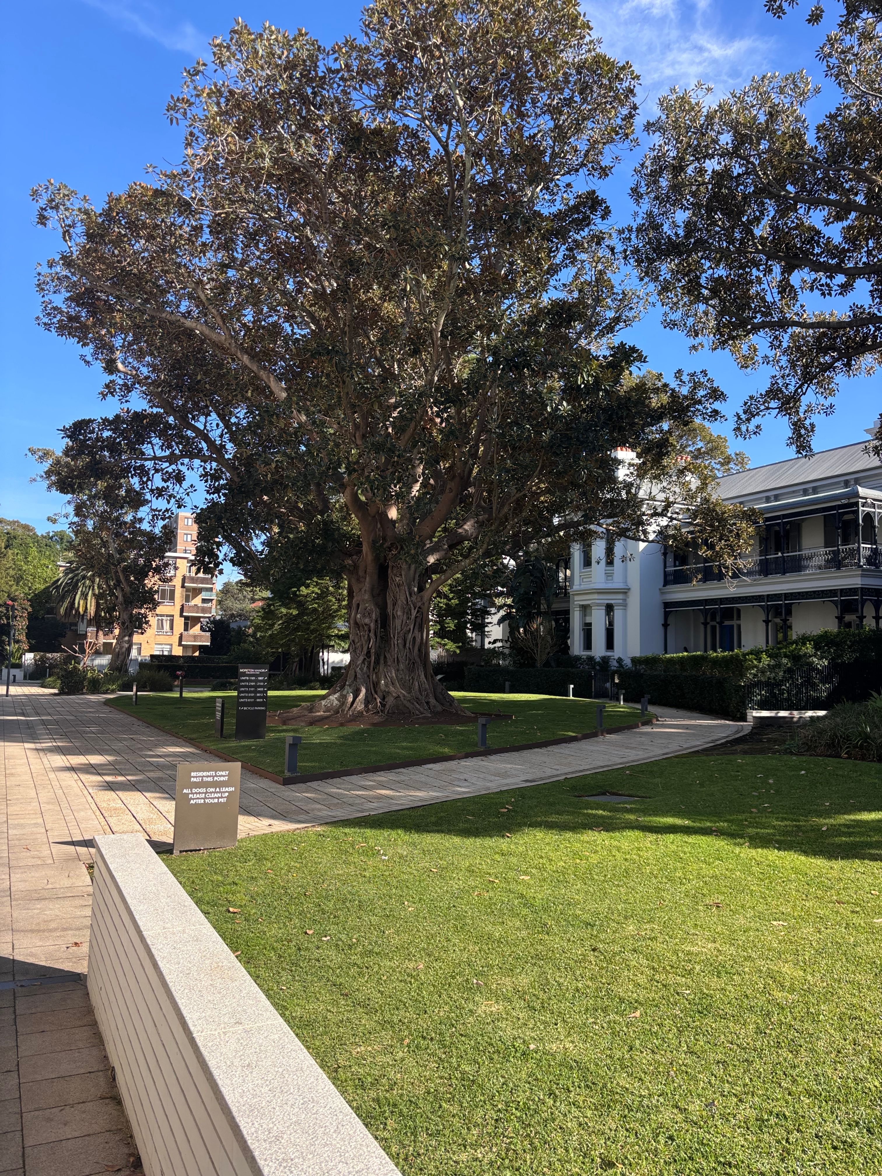 image-17