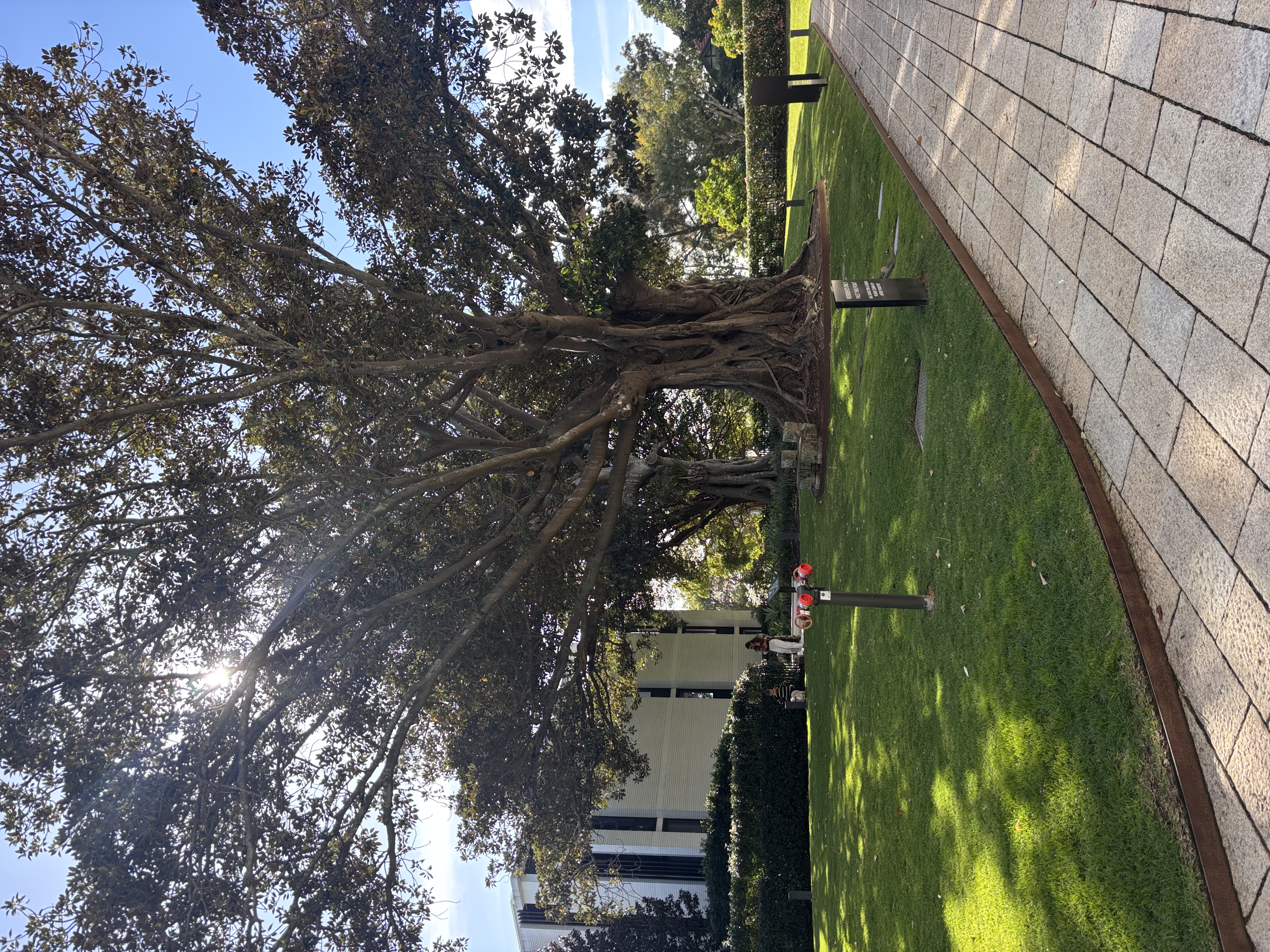 image-19