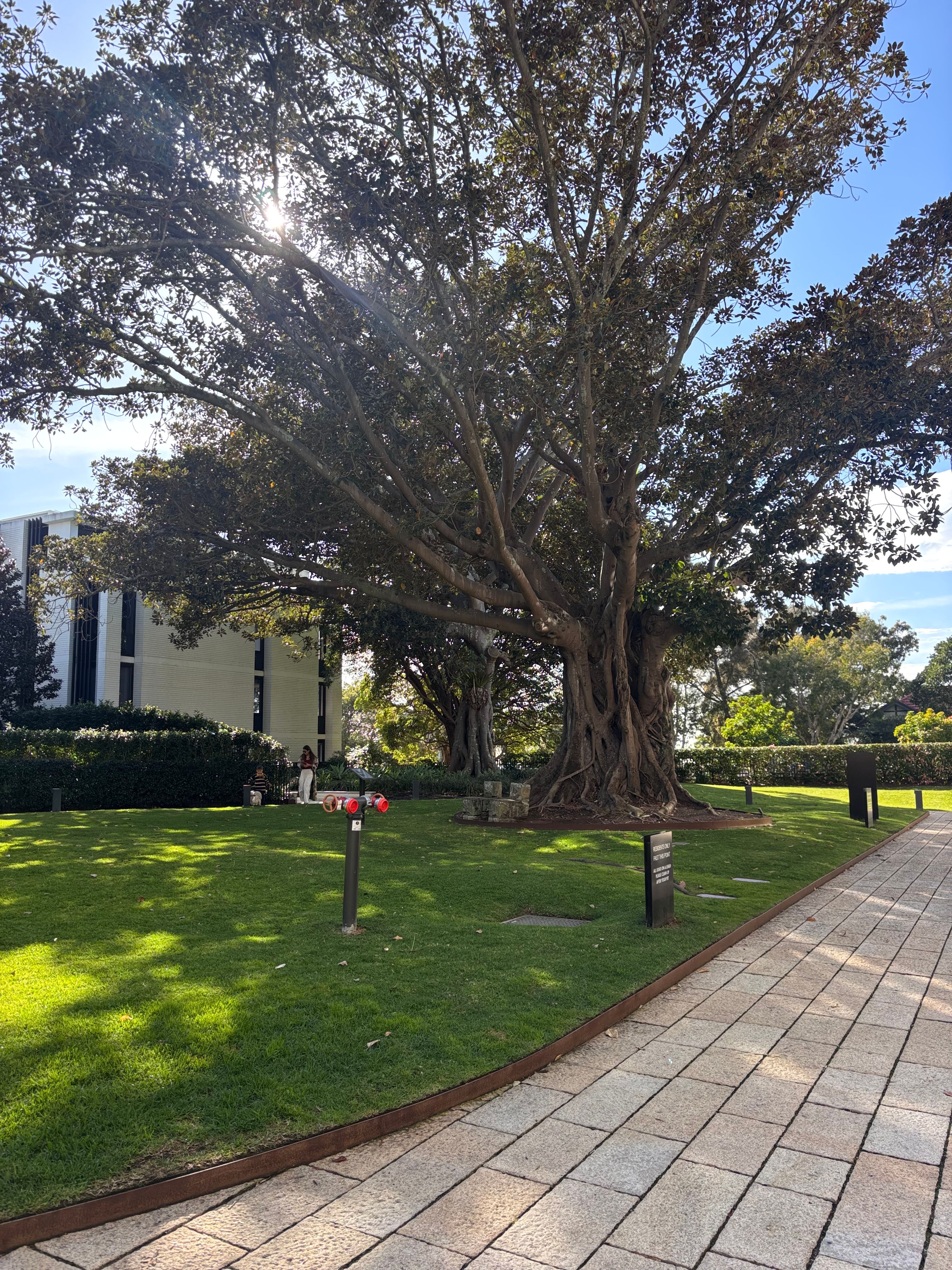 image-19