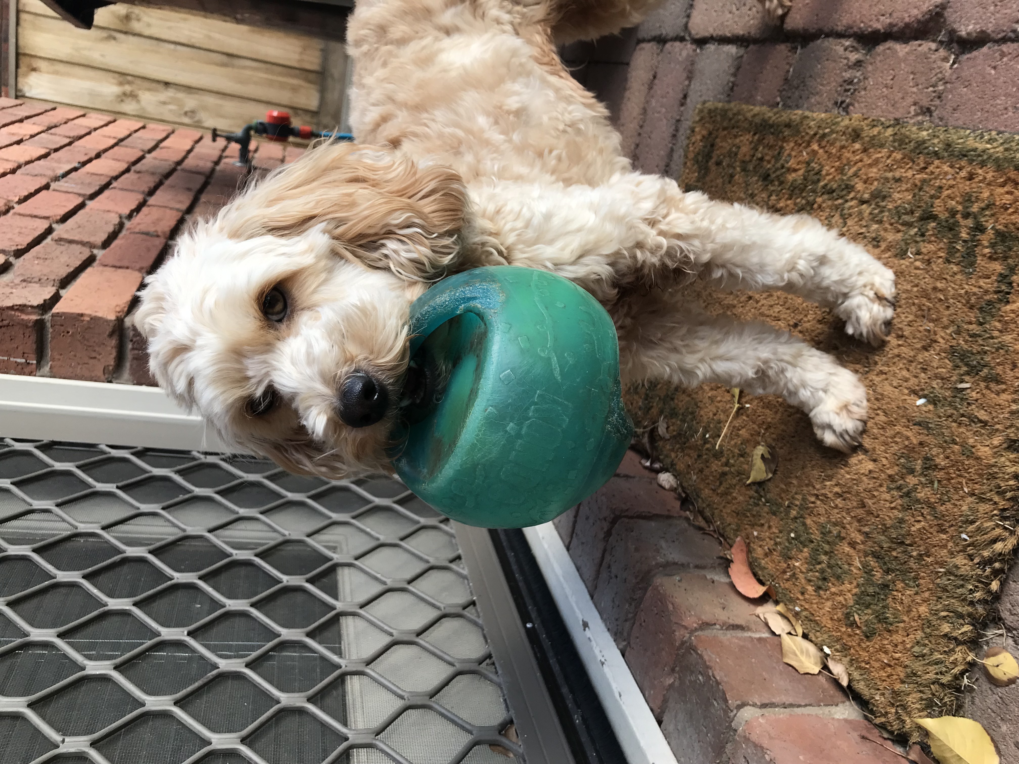 image-6