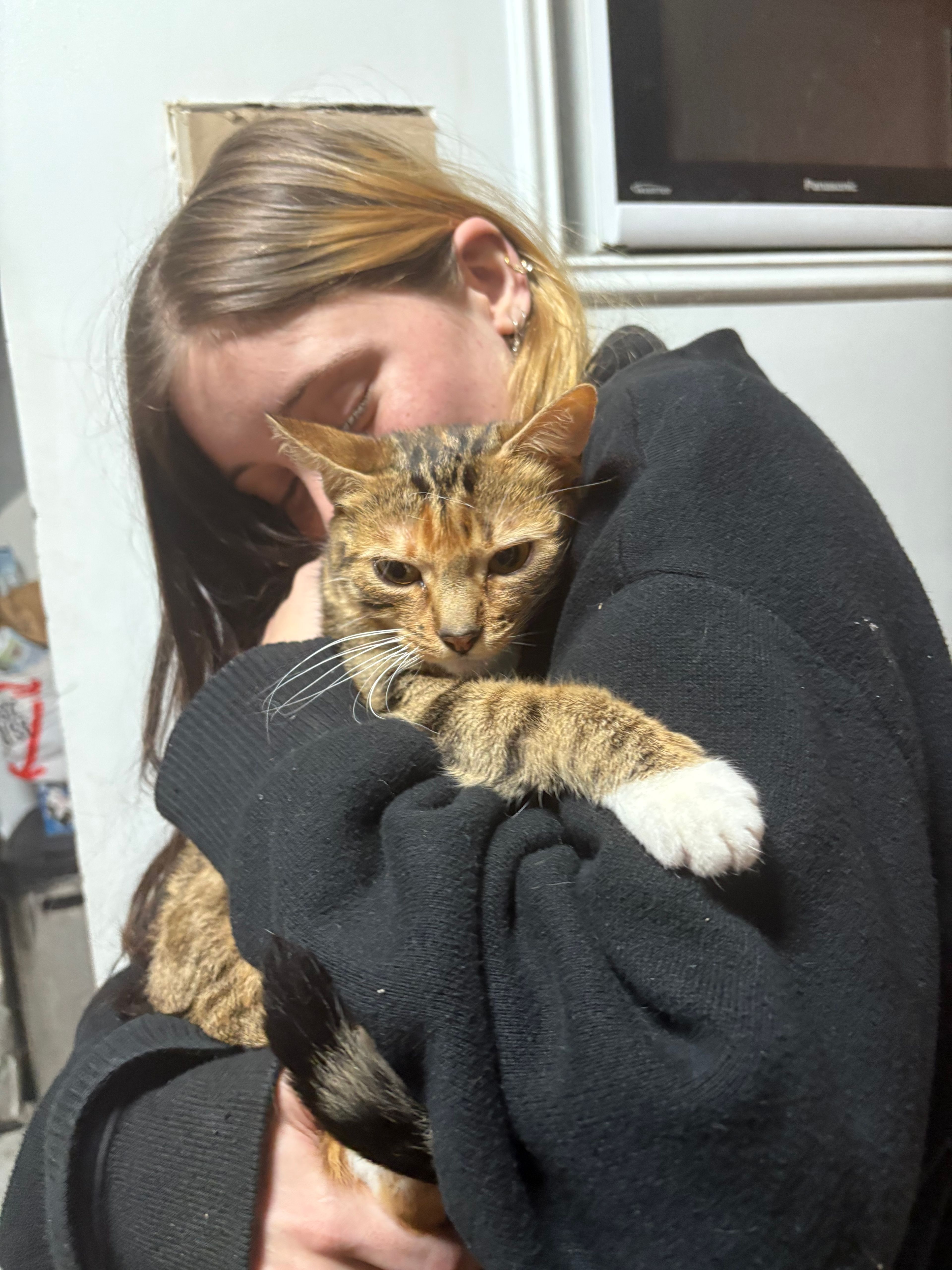 image-6