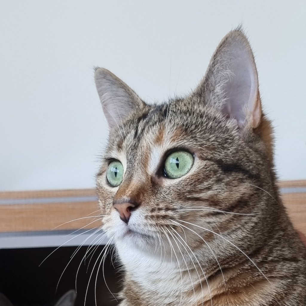 Coco