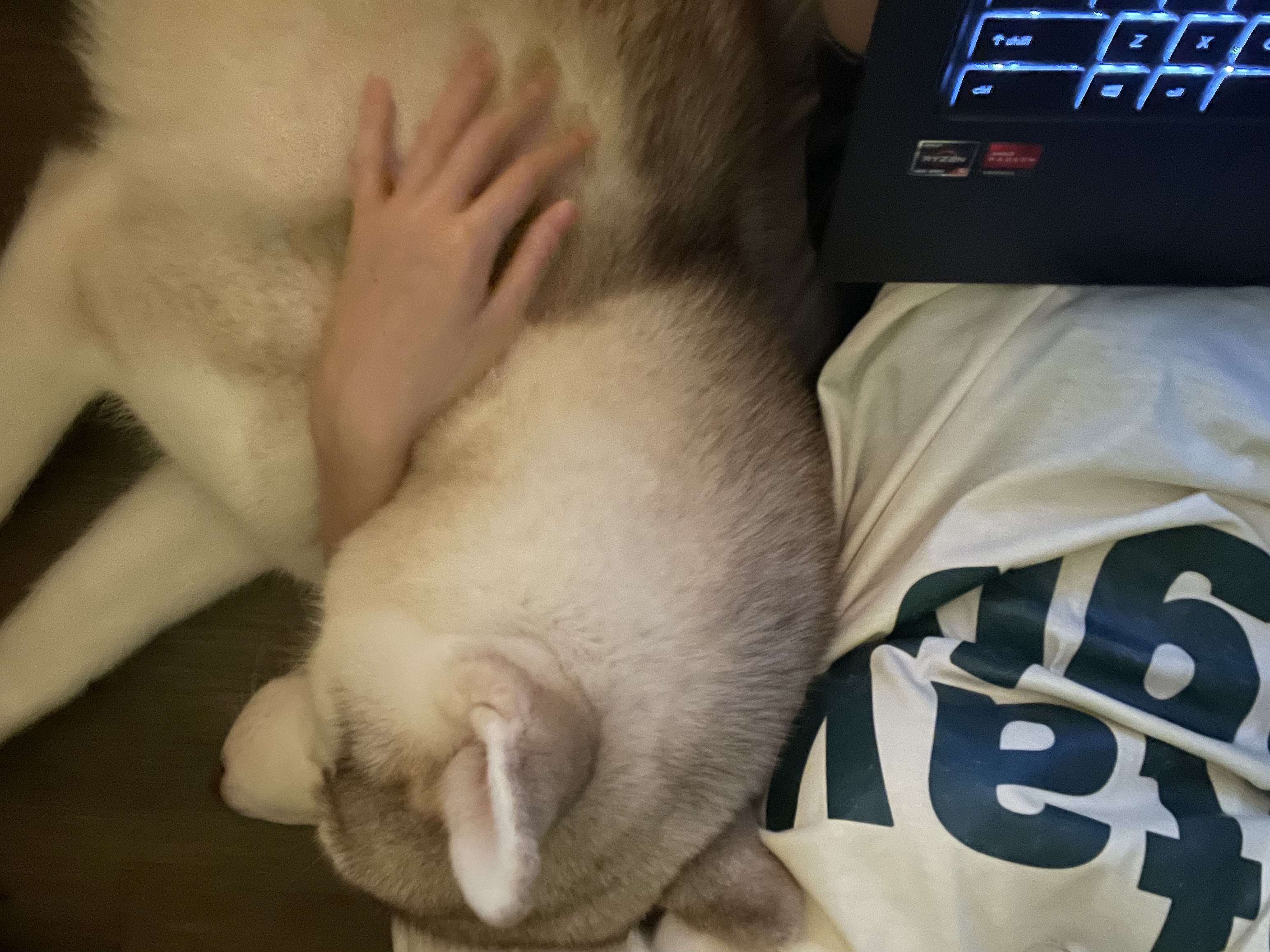 image-6