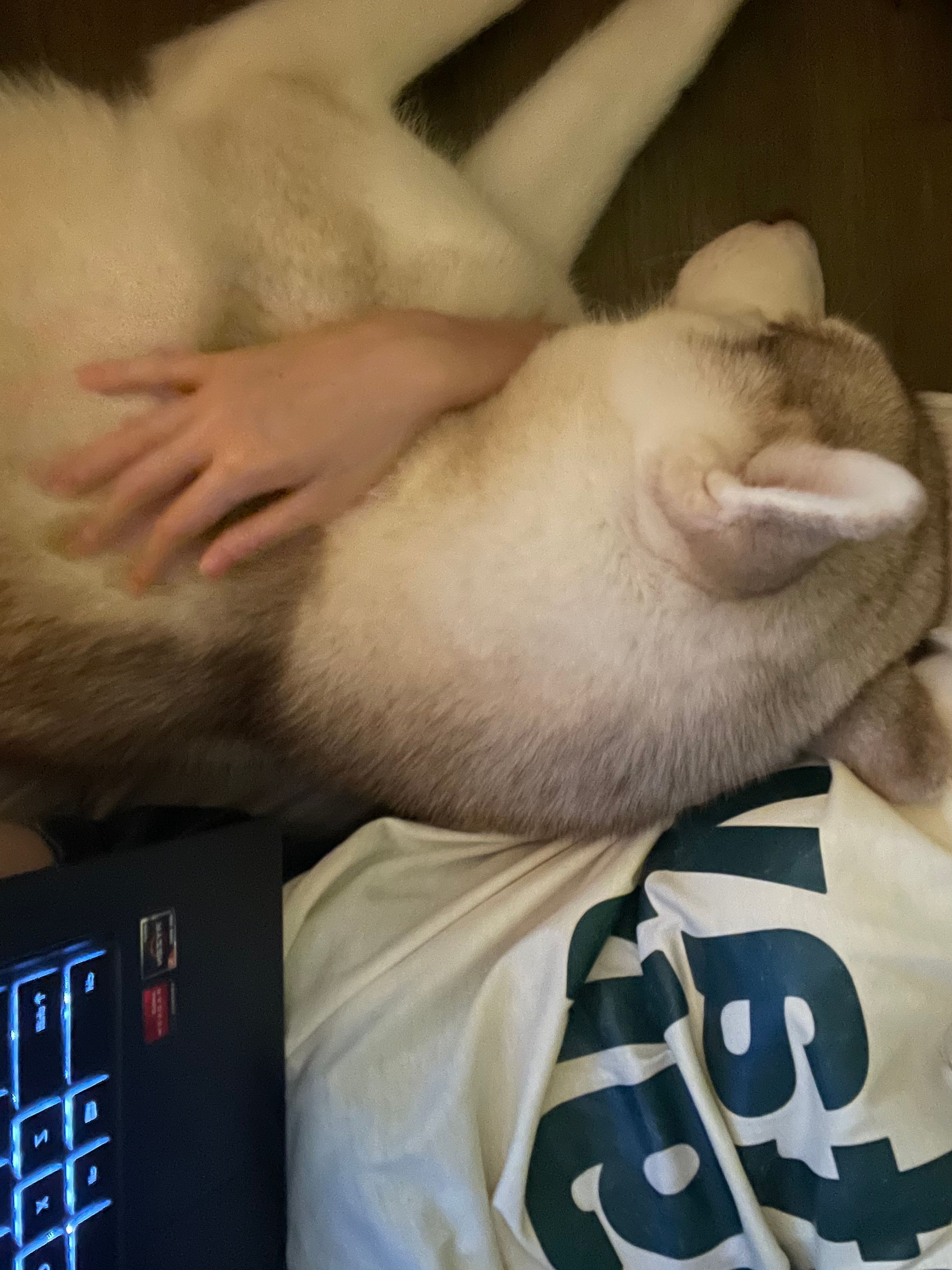 image-6