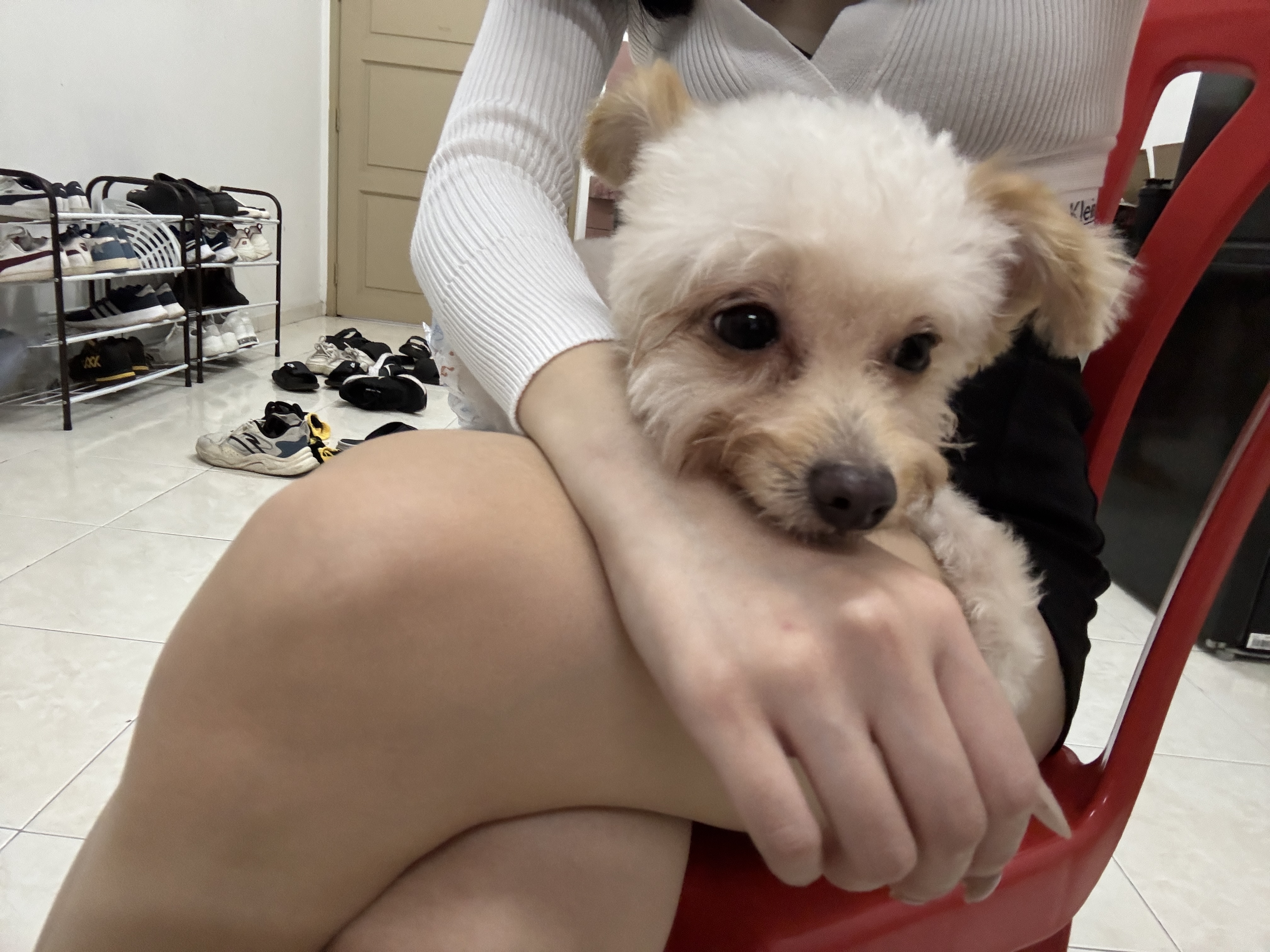 image-11